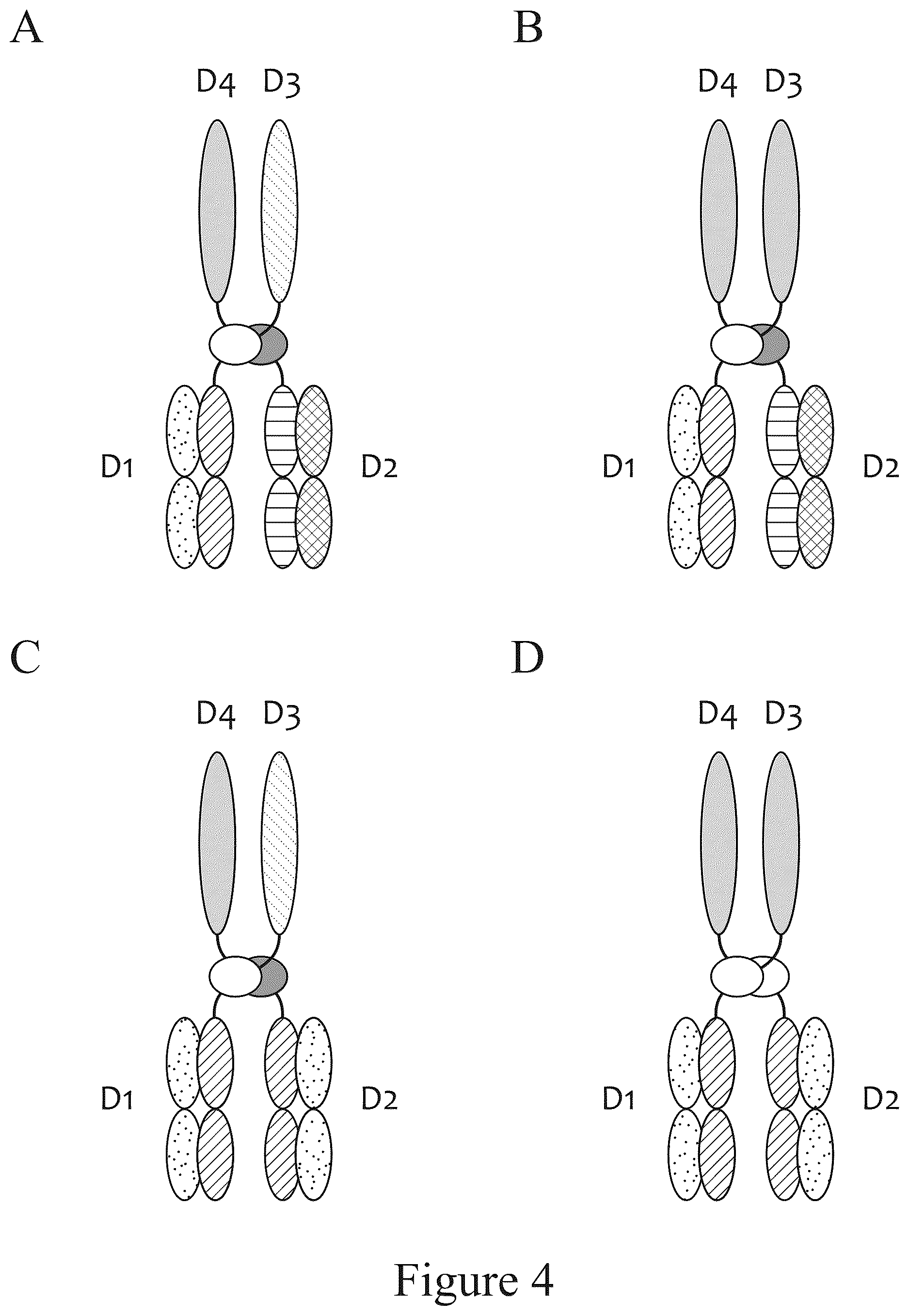 Patent US12612611 Figure 4 – Tetrahedral antibodies