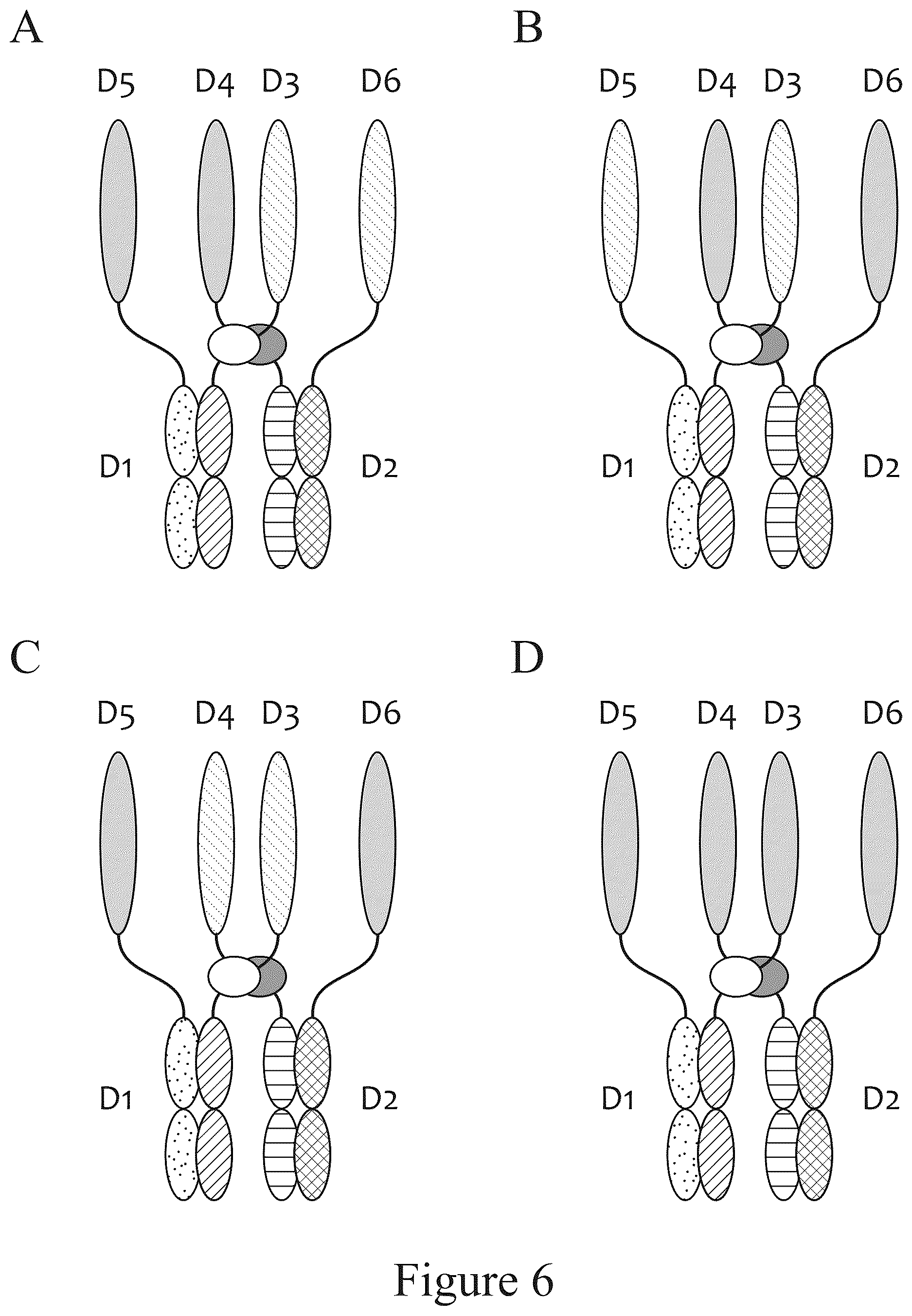 Patent US12612611 Figure 6 – Tetrahedral antibodies