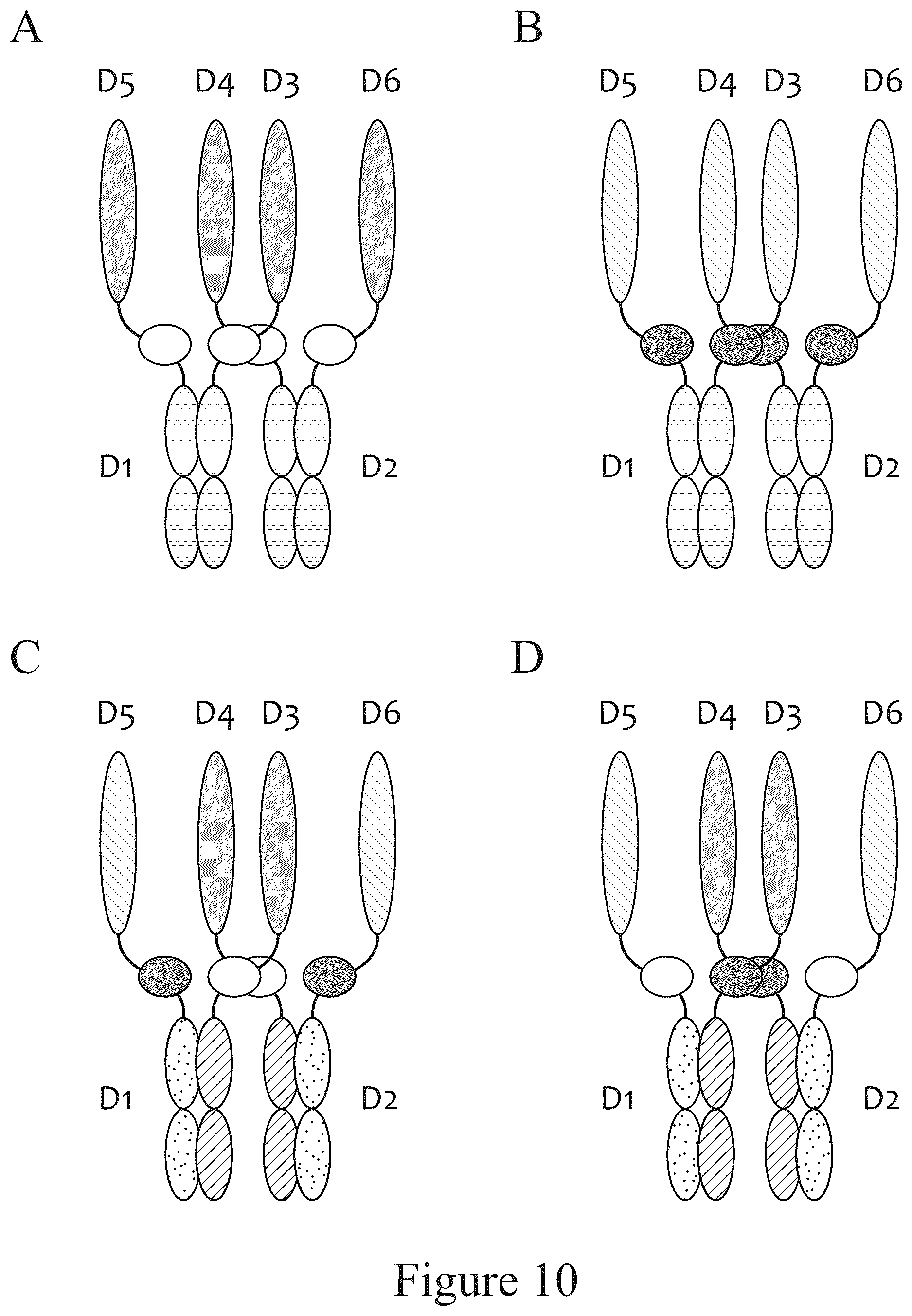 Patent US12612611 Figure 11 – Tetrahedral antibodies