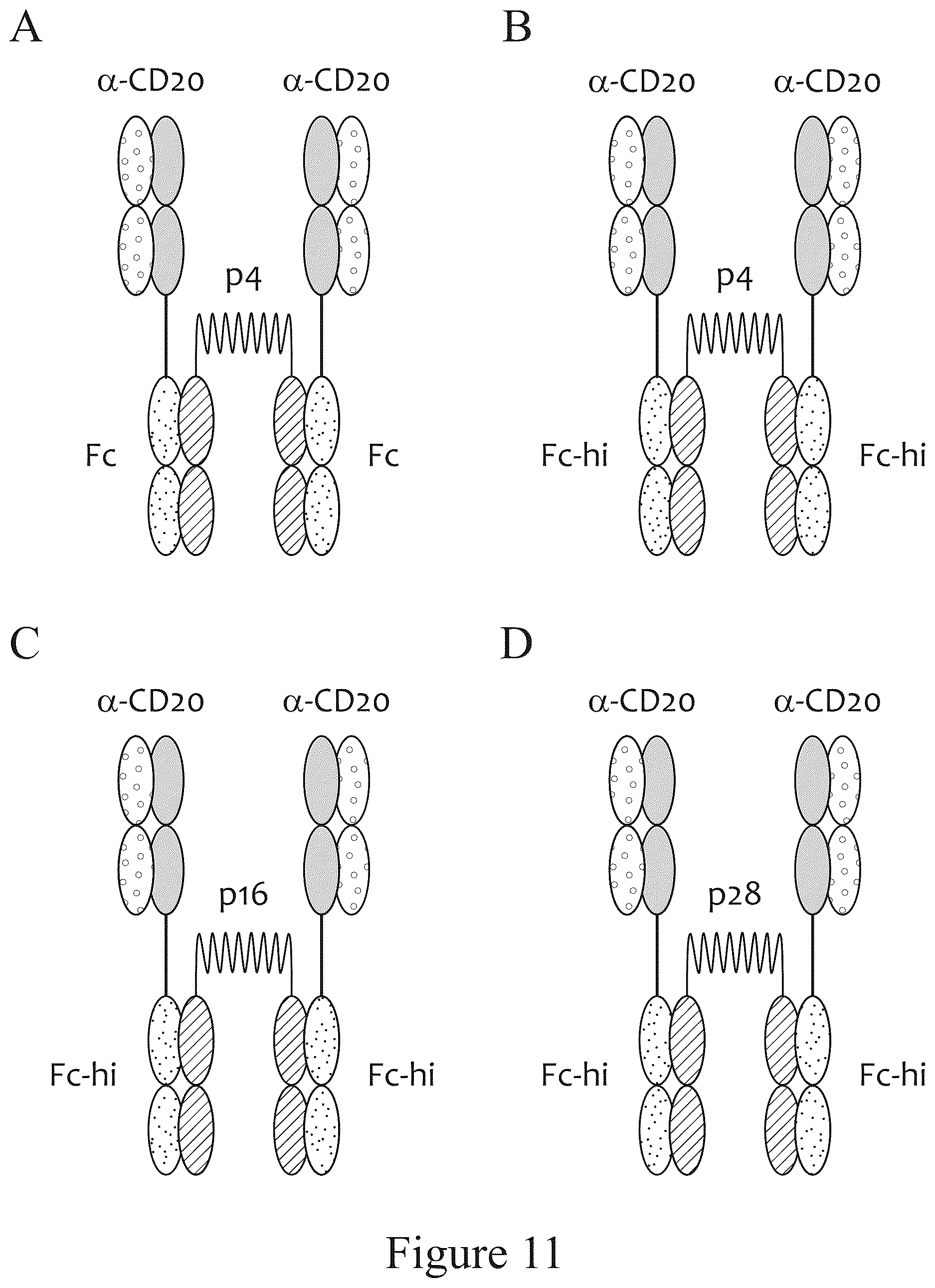 Patent US12612611 Figure 12 – Tetrahedral antibodies
