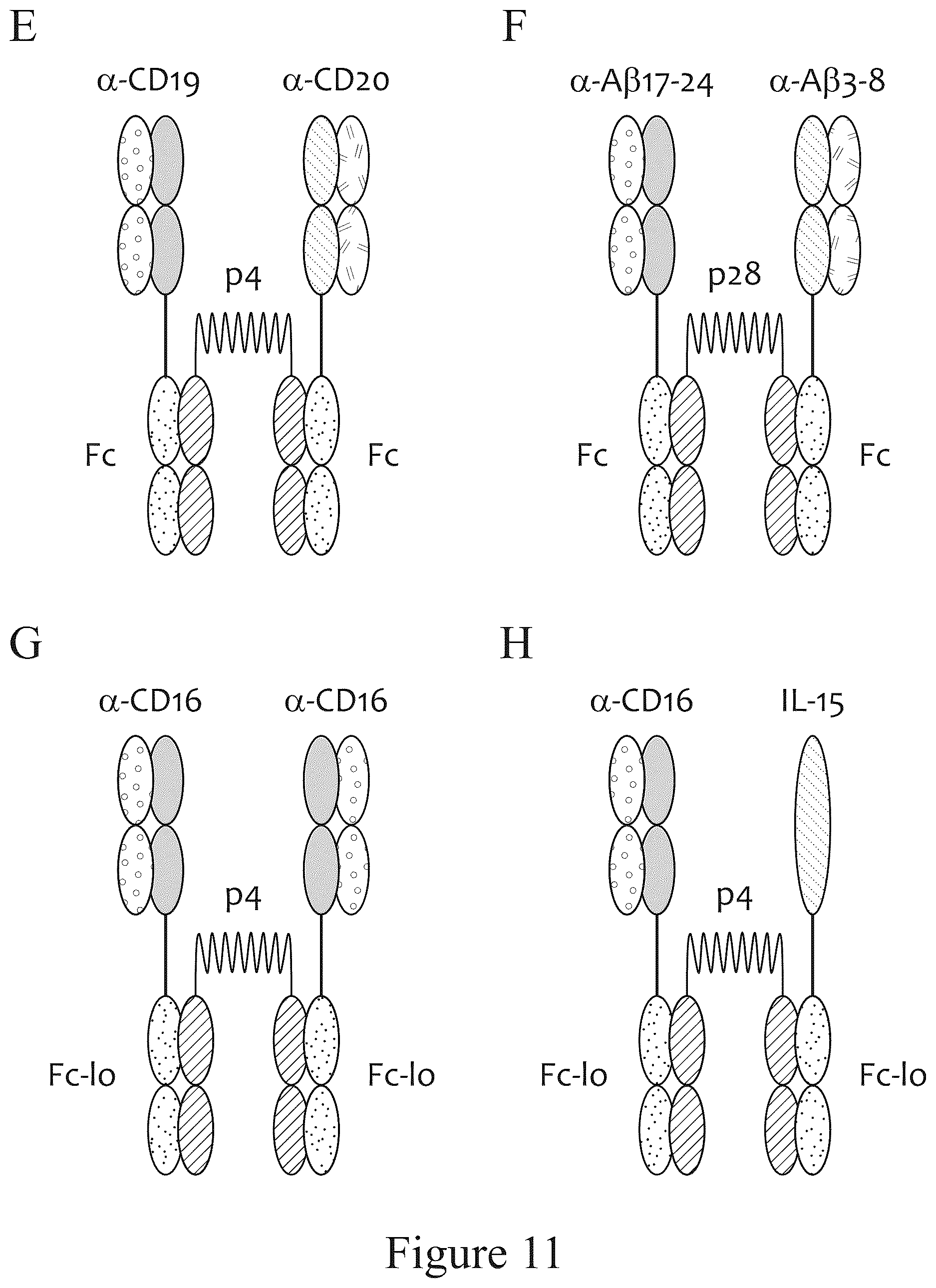 Patent US12612611 Figure 13 – Tetrahedral antibodies