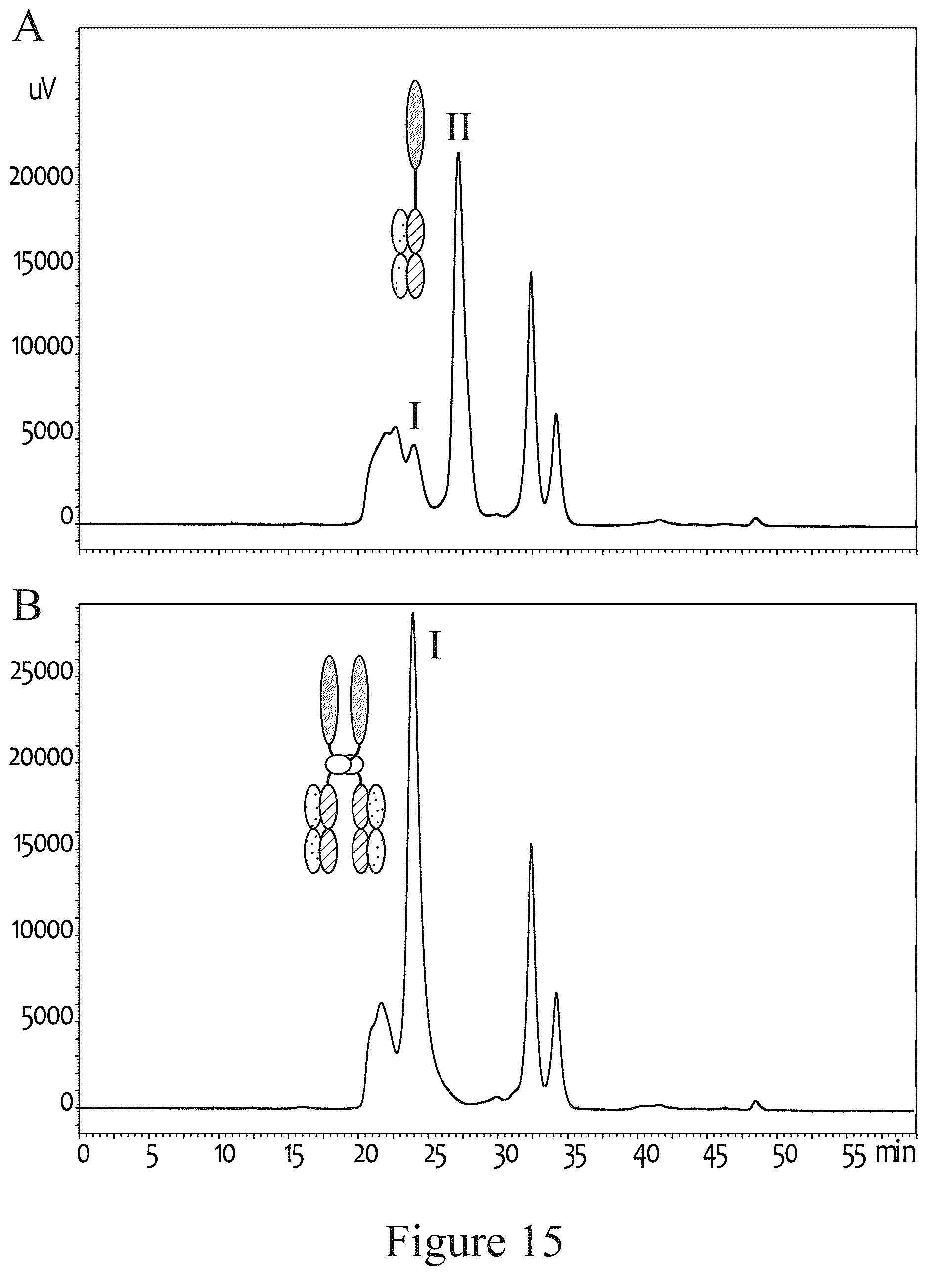 Patent US12612611 Figure 17 – Tetrahedral antibodies