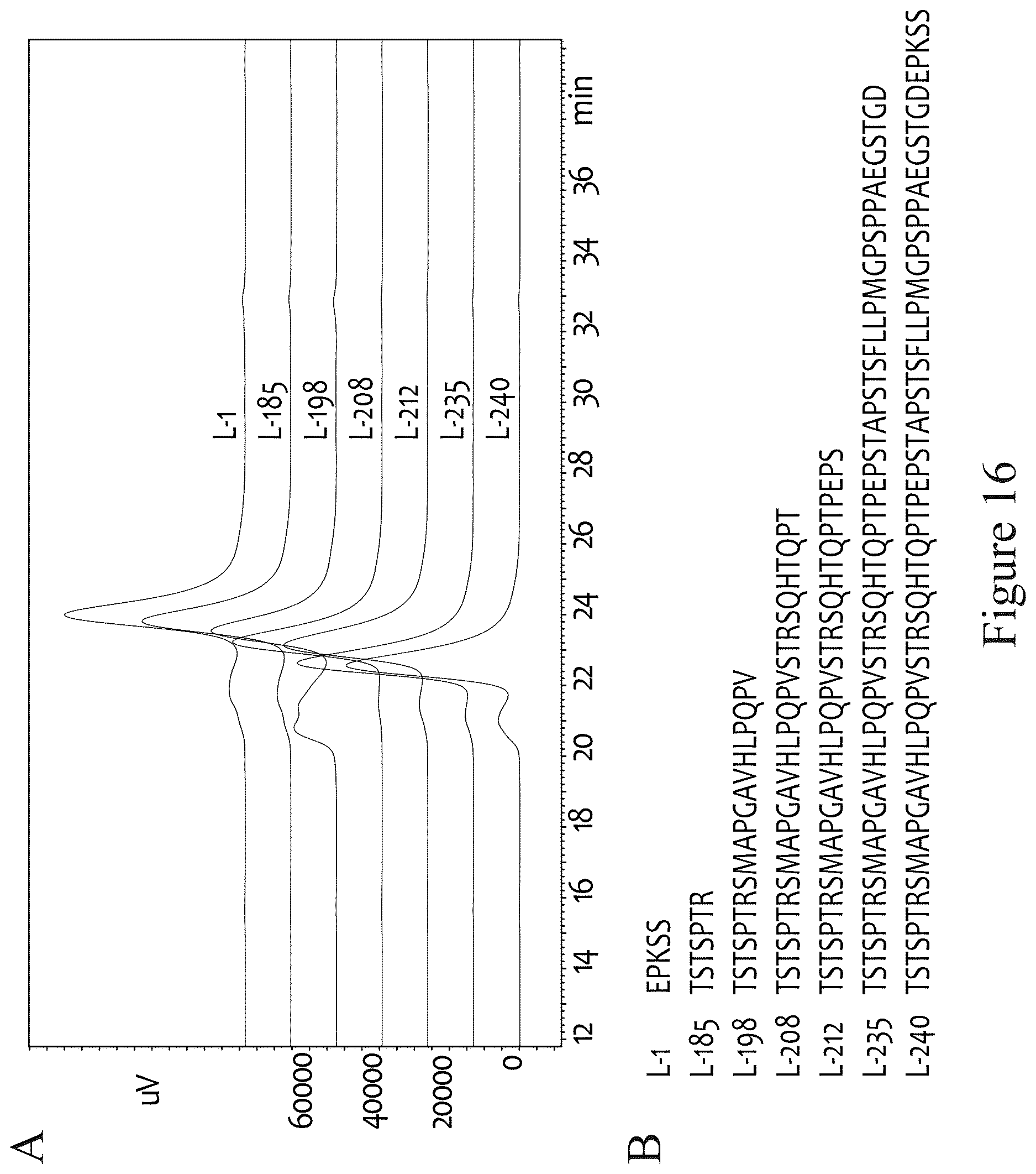 Patent US12612611 Figure 18 – Tetrahedral antibodies