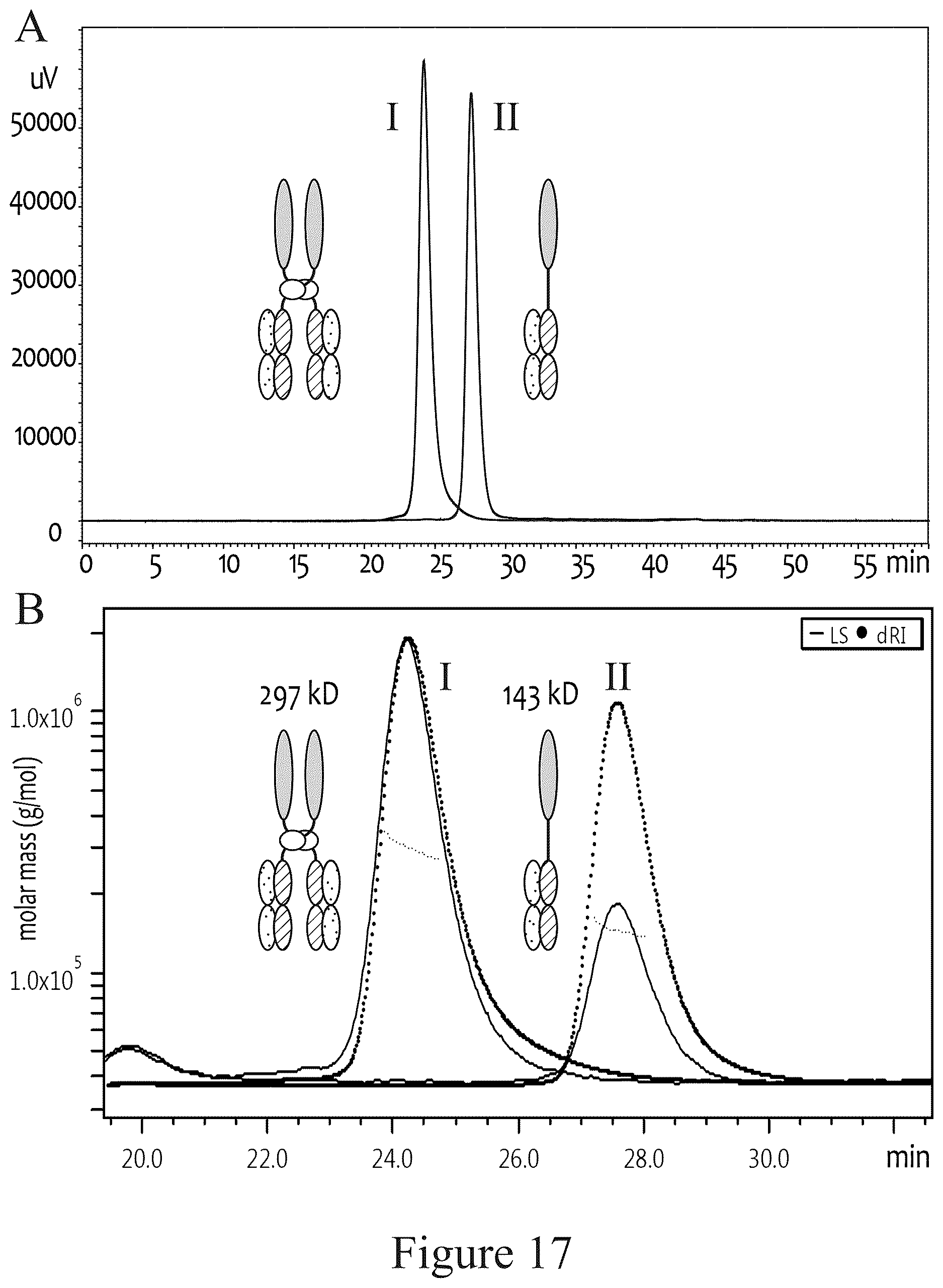 Patent US12612611 Figure 19 – Tetrahedral antibodies