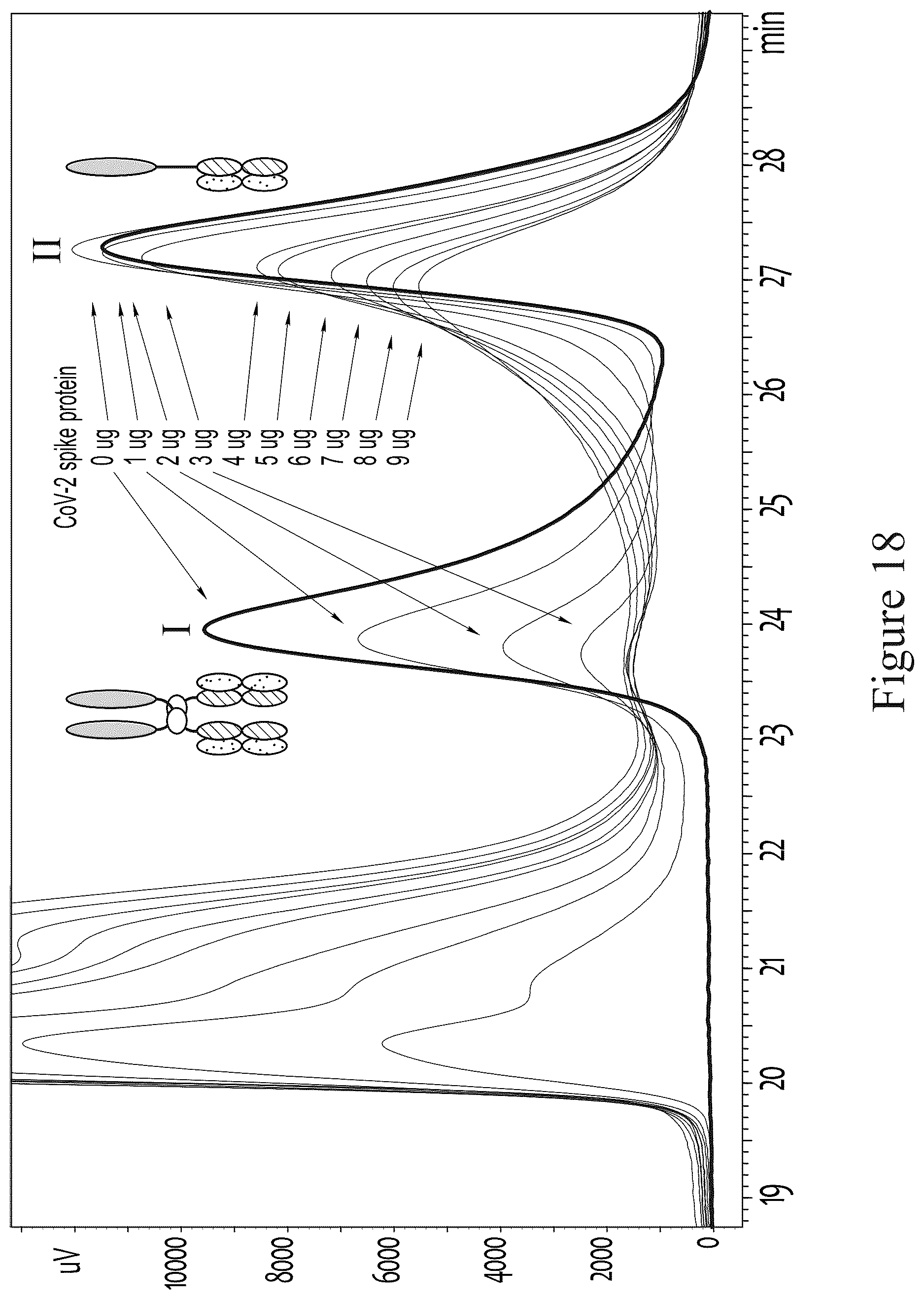 Patent US12612611 Figure 20 – Tetrahedral antibodies