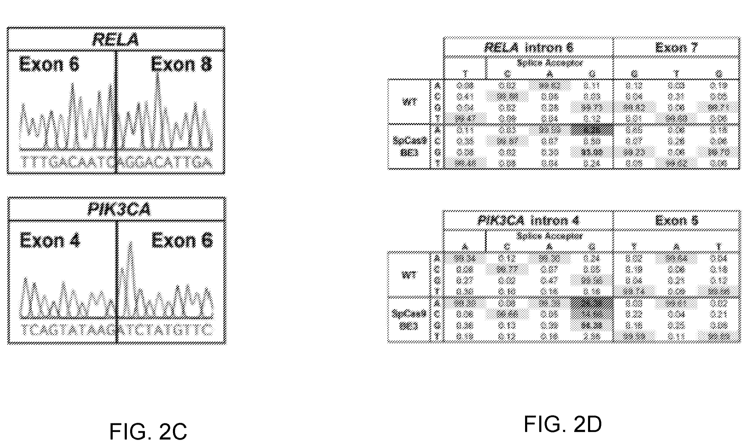 Patent US12612612 Figure 3 – Methods for exon skipping and gene knockout using base editors