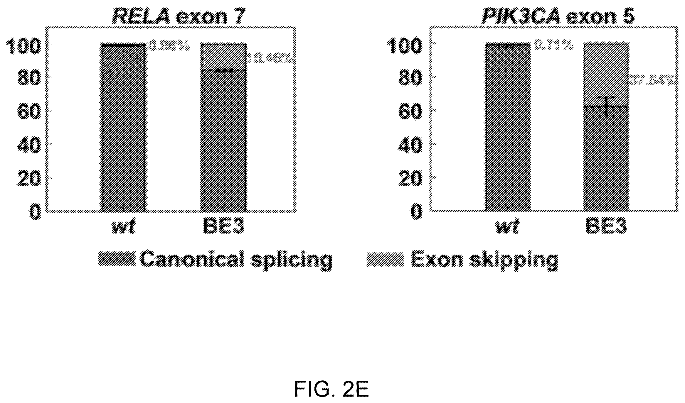Patent US12612612 Figure 4 – Methods for exon skipping and gene knockout using base editors