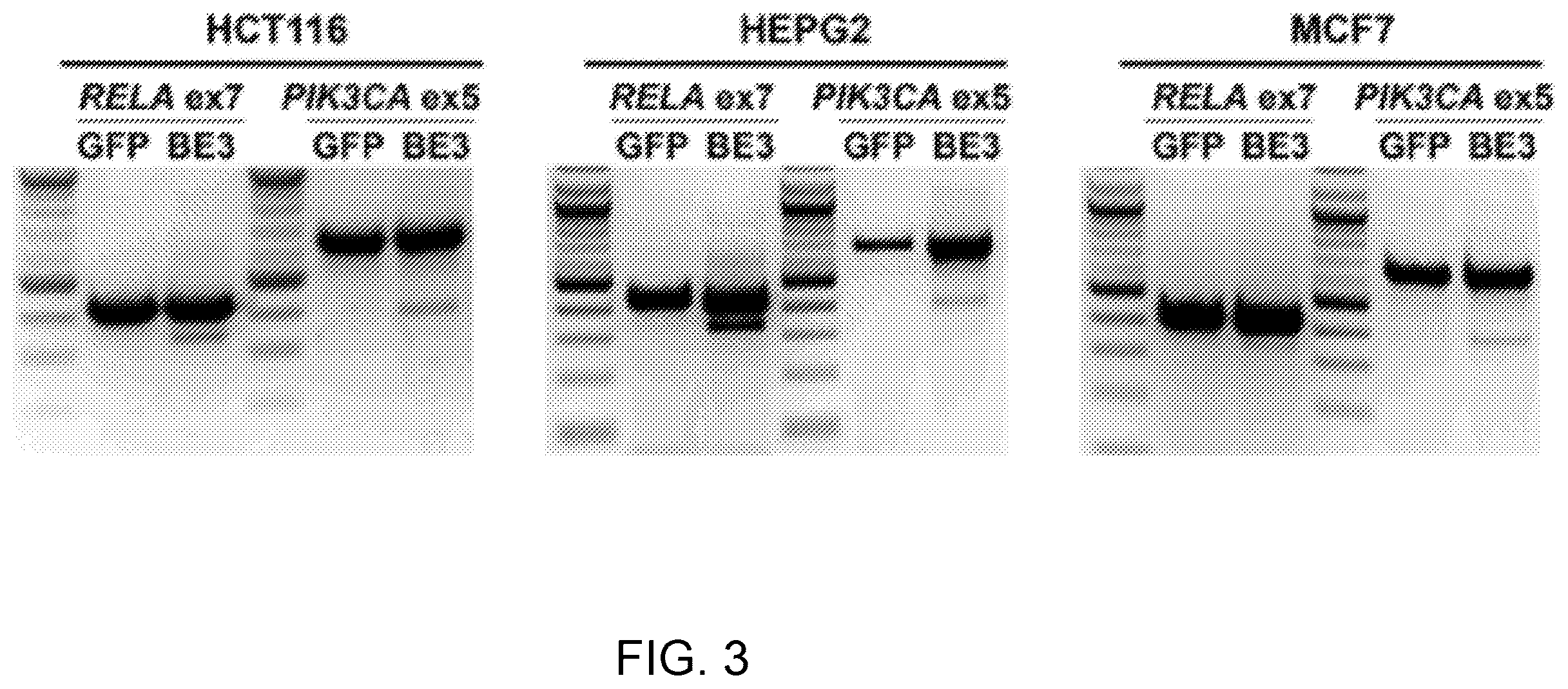 Patent US12612612 Figure 5 – Methods for exon skipping and gene knockout using base editors