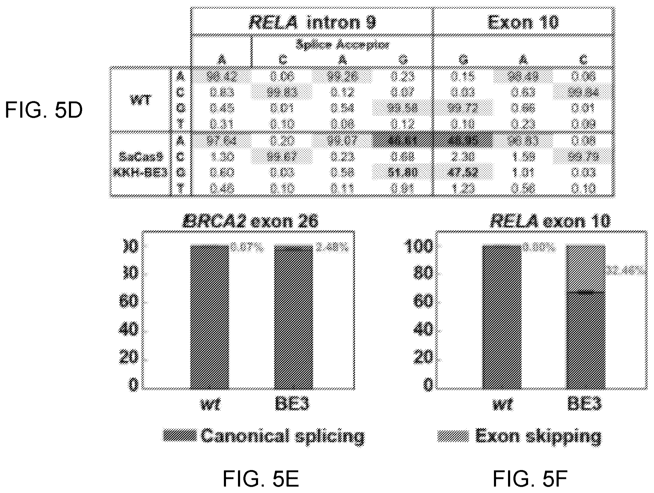 Patent US12612612 Figure 8 – Methods for exon skipping and gene knockout using base editors