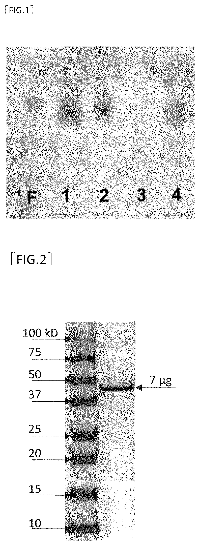 Patent US12612613 Figure 1 – D-mannose isomerase and production method of D-fructose