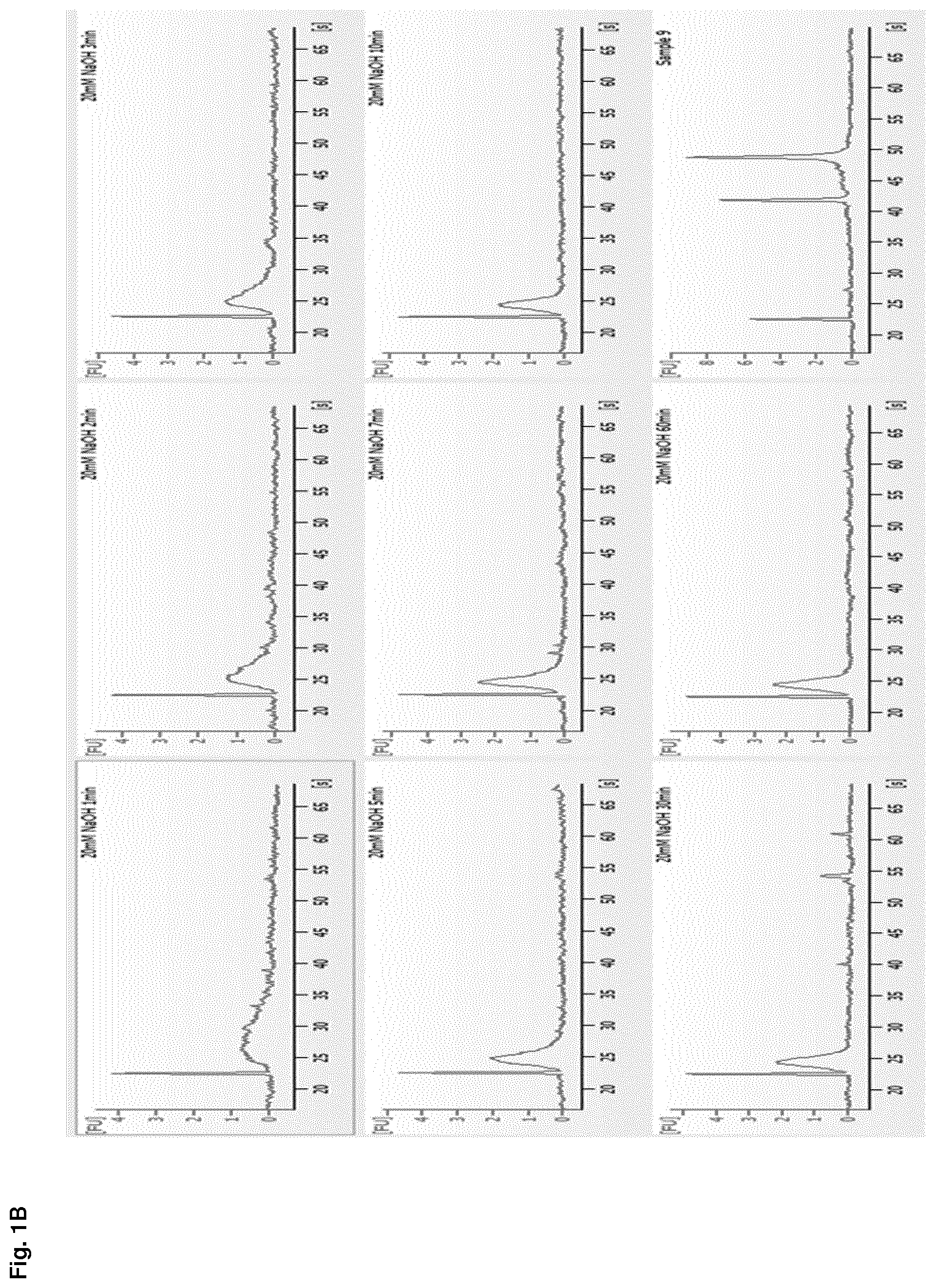 Patent US12612614 Figure 2 – Stabilization of RNA