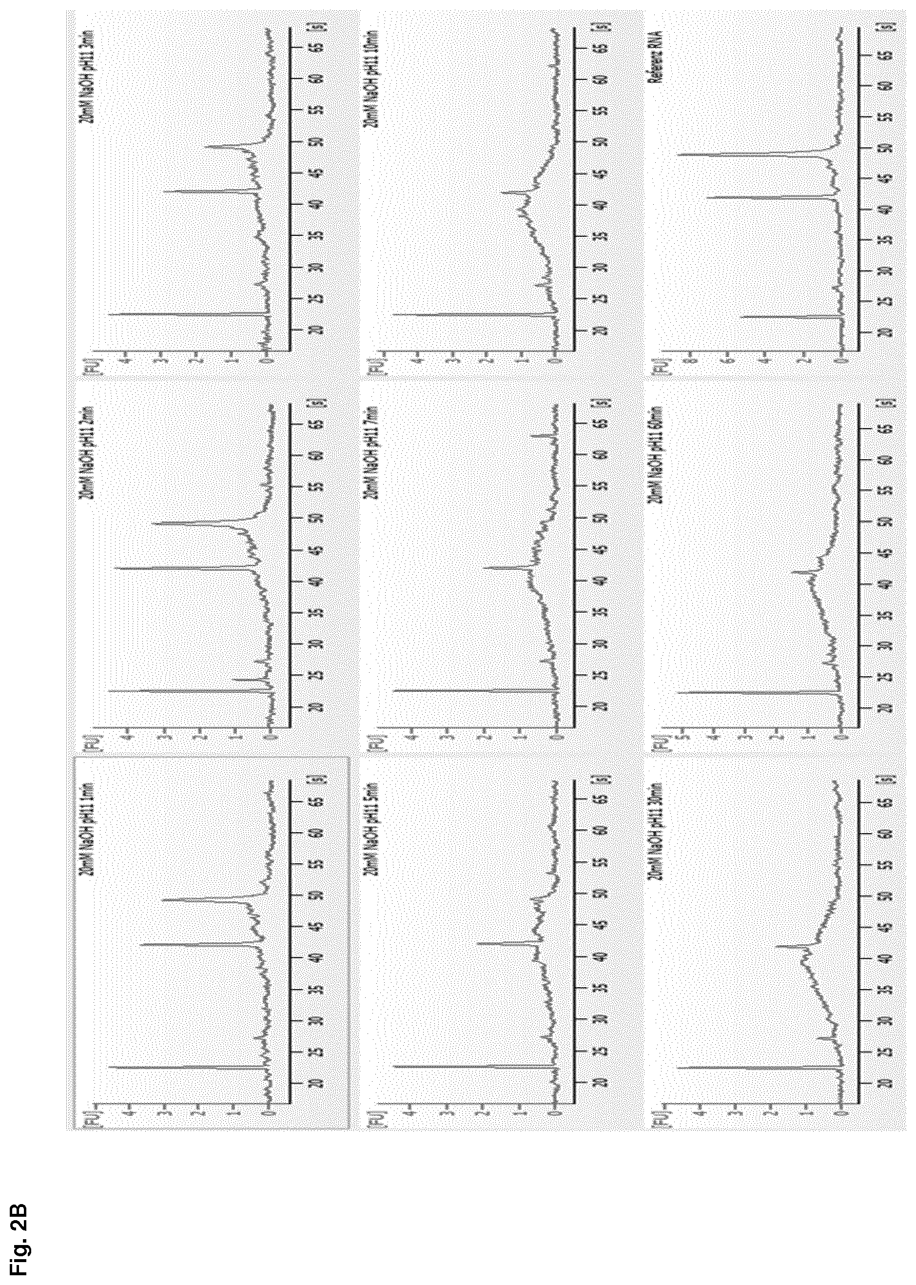 Patent US12612614 Figure 4 – Stabilization of RNA