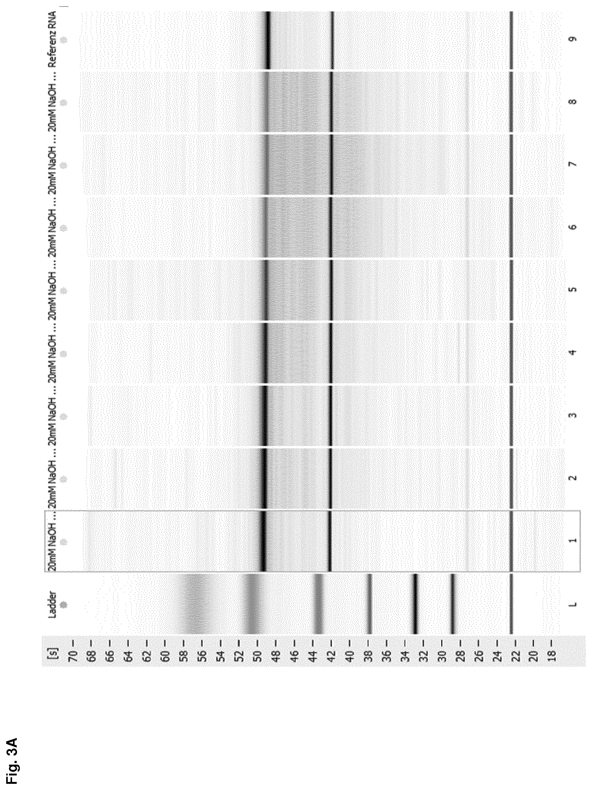 Patent US12612614 Figure 5 – Stabilization of RNA