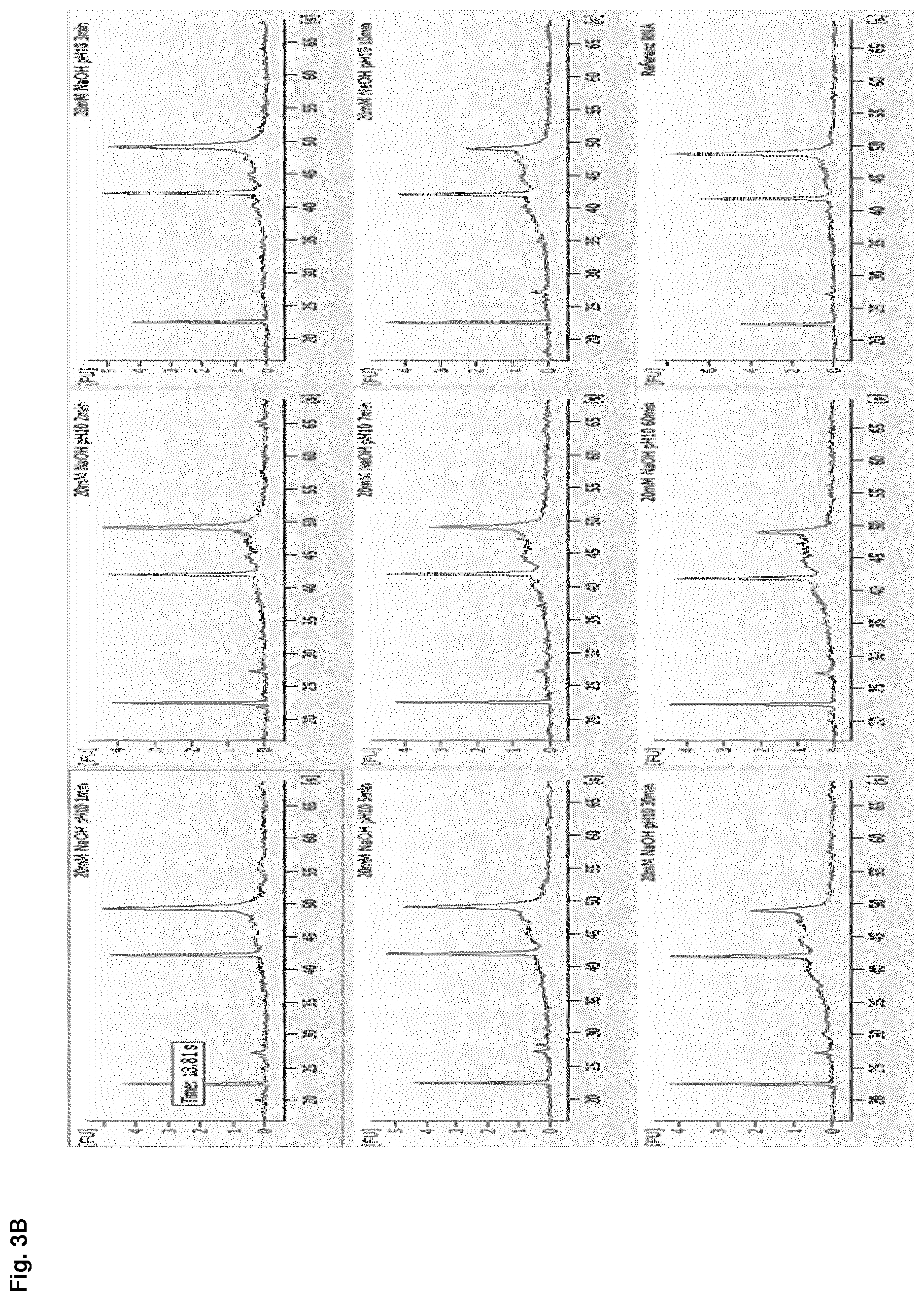 Patent US12612614 Figure 6 – Stabilization of RNA