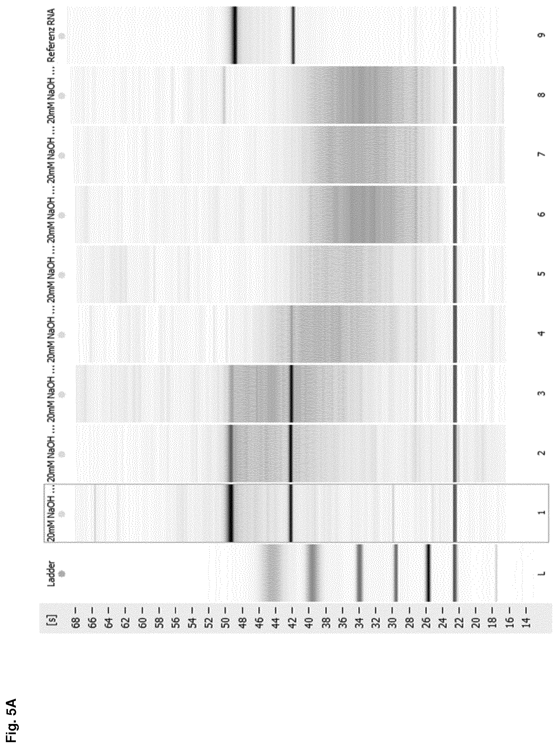 Patent US12612614 Figure 9 – Stabilization of RNA
