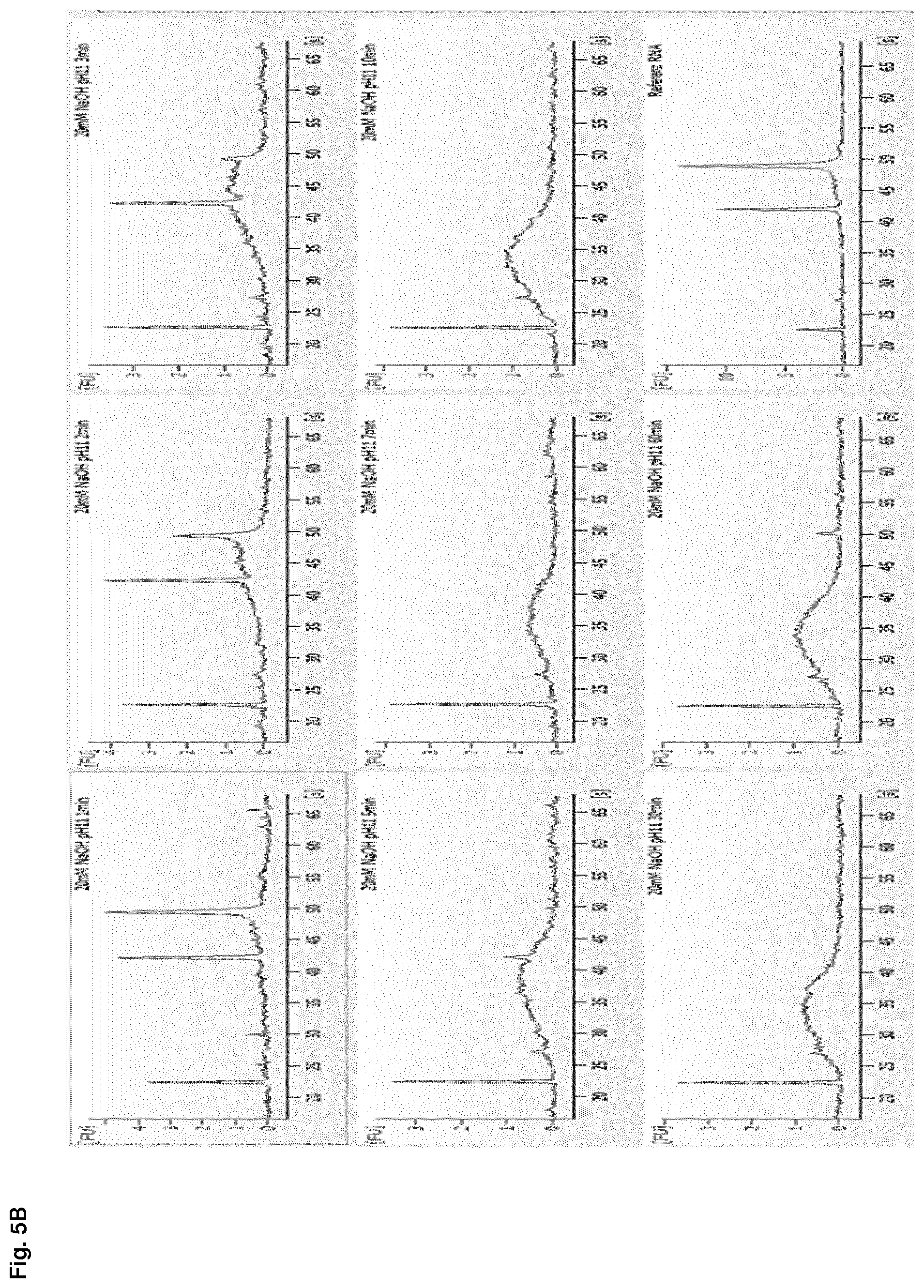 Patent US12612614 Figure 10 – Stabilization of RNA