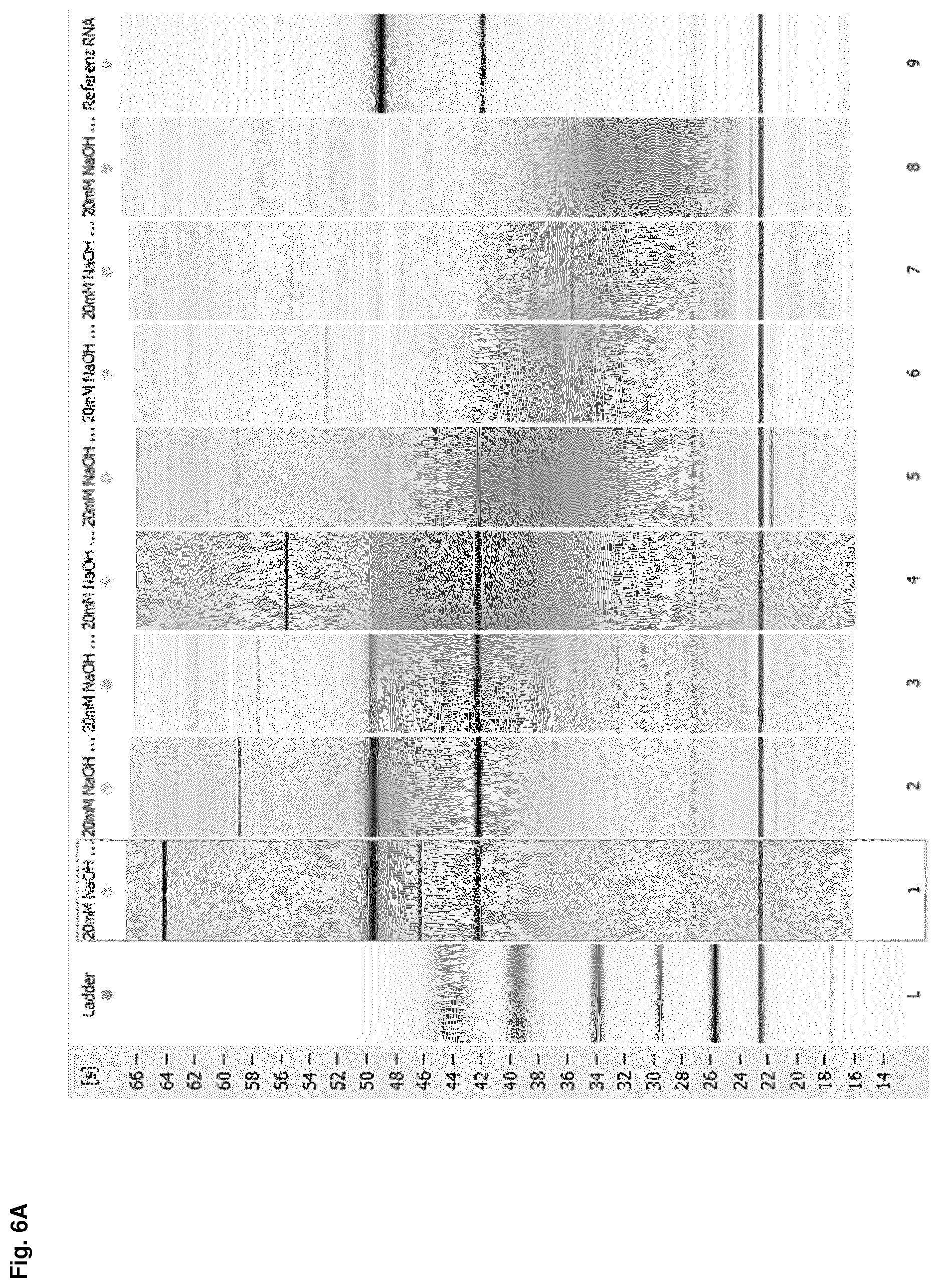 Patent US12612614 Figure 11 – Stabilization of RNA