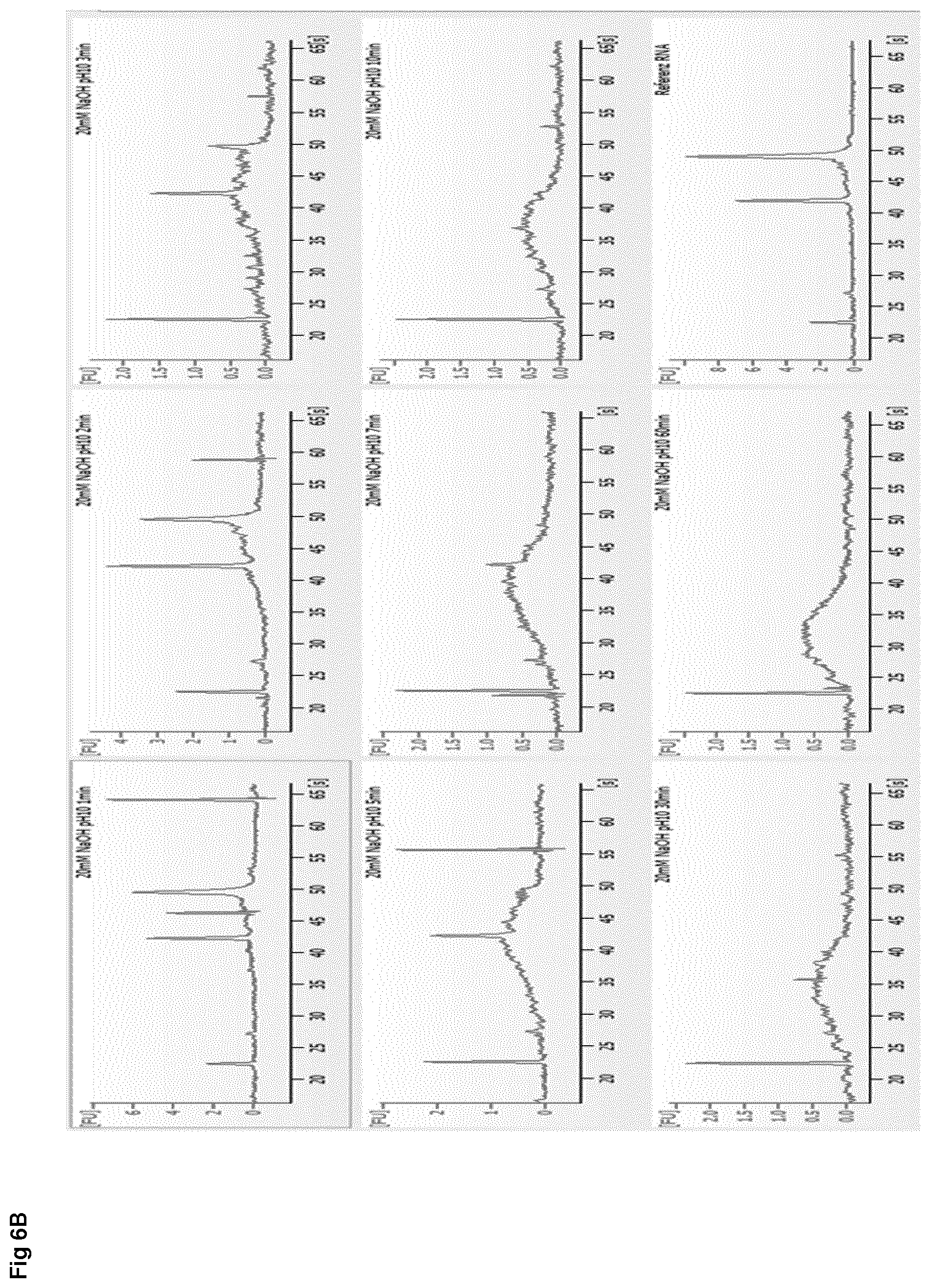Patent US12612614 Figure 12 – Stabilization of RNA