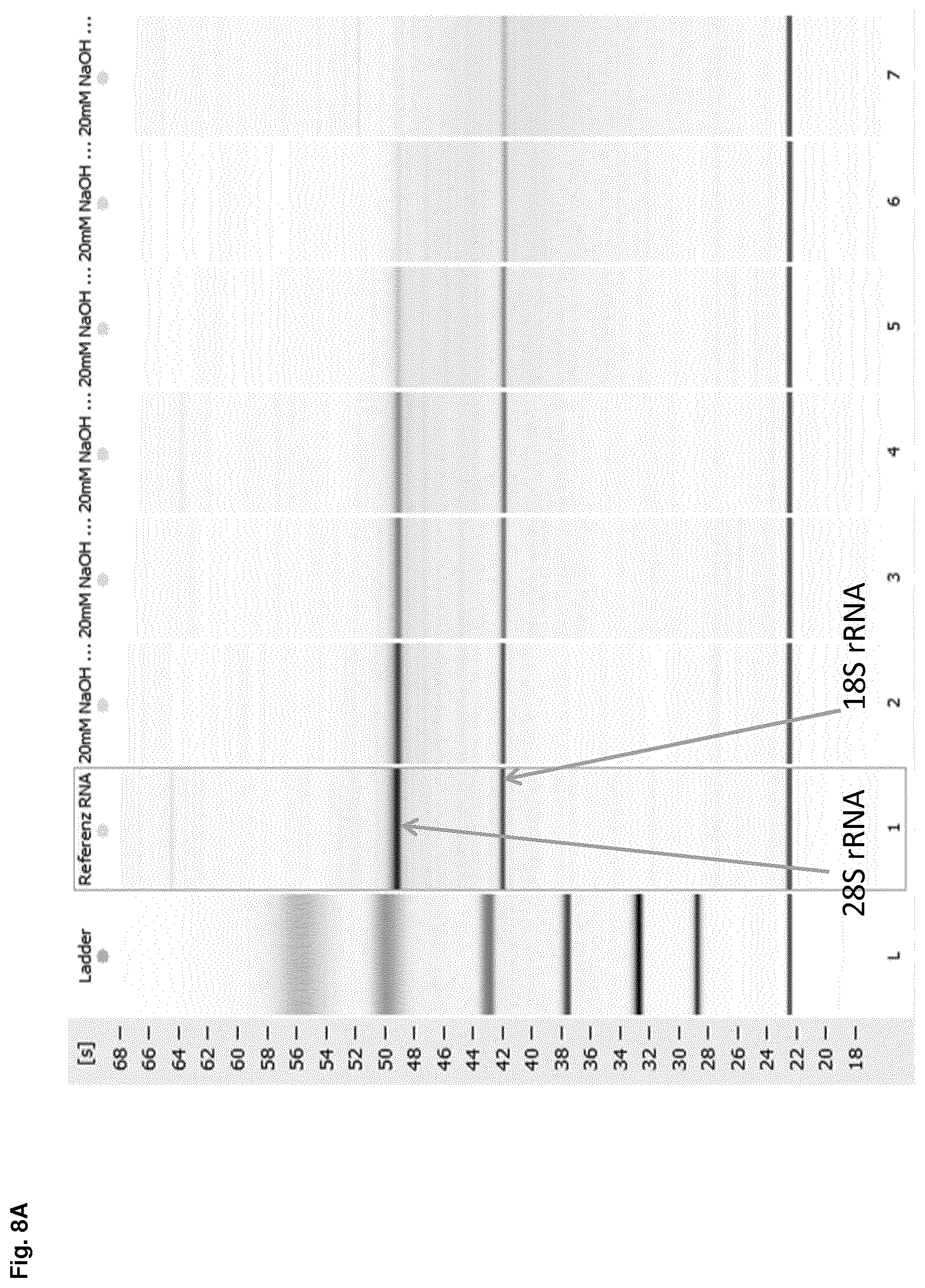 Patent US12612614 Figure 17 – Stabilization of RNA