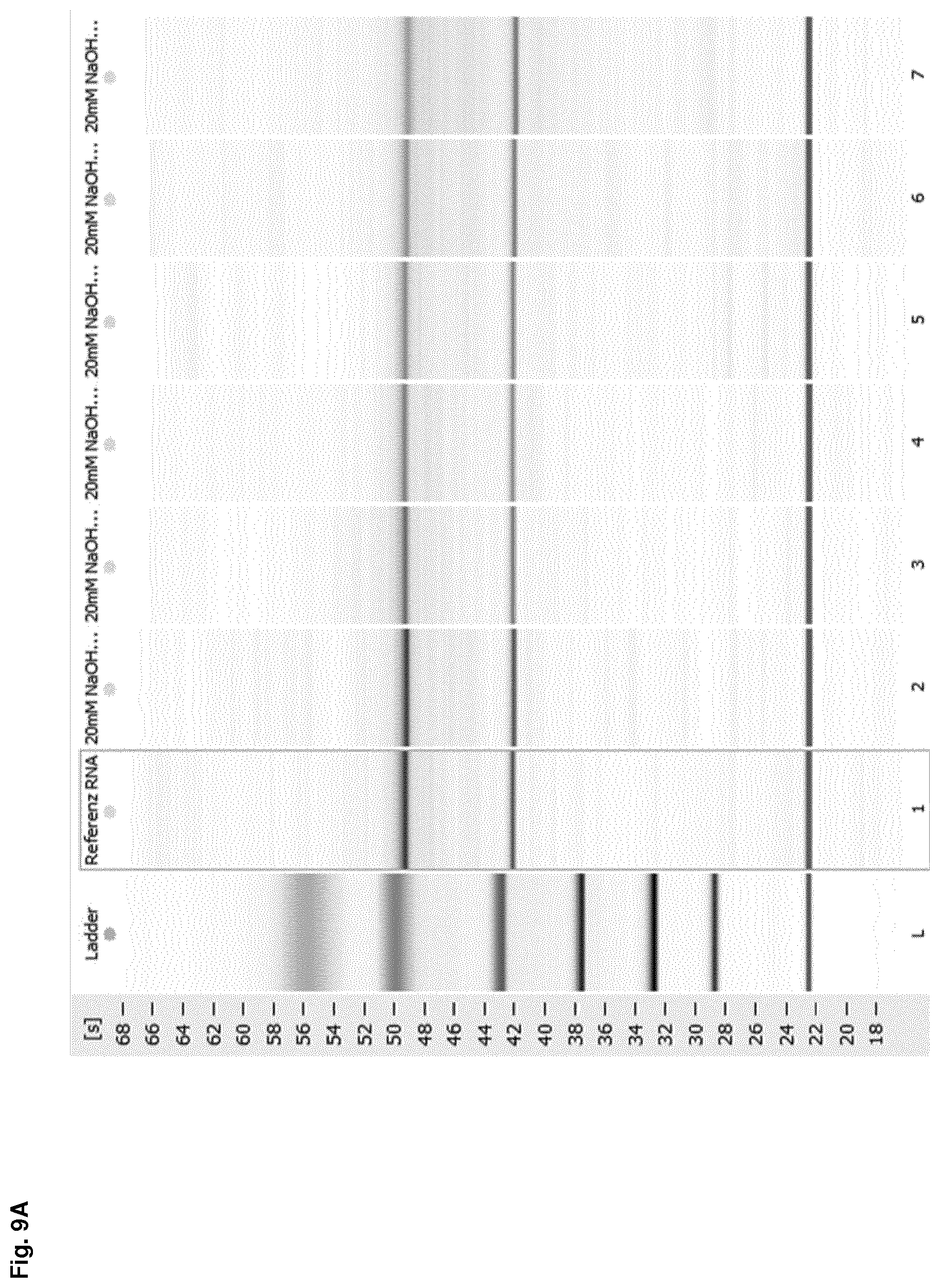 Patent US12612614 Figure 19 – Stabilization of RNA