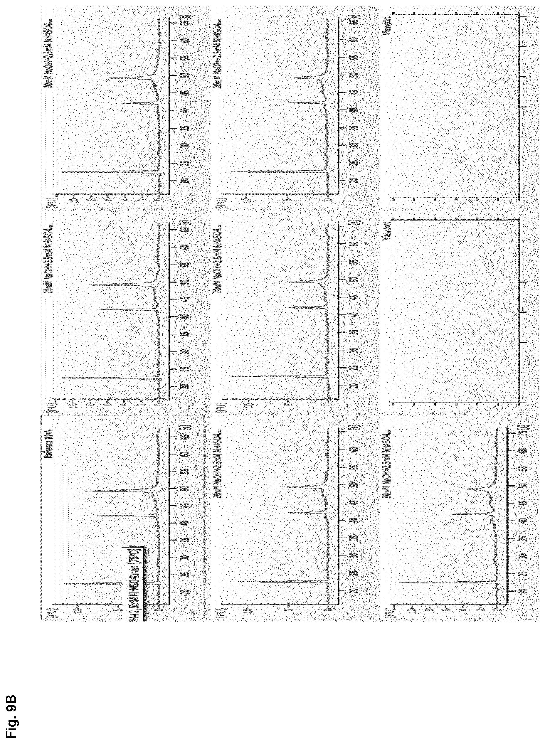 Patent US12612614 Figure 20 – Stabilization of RNA