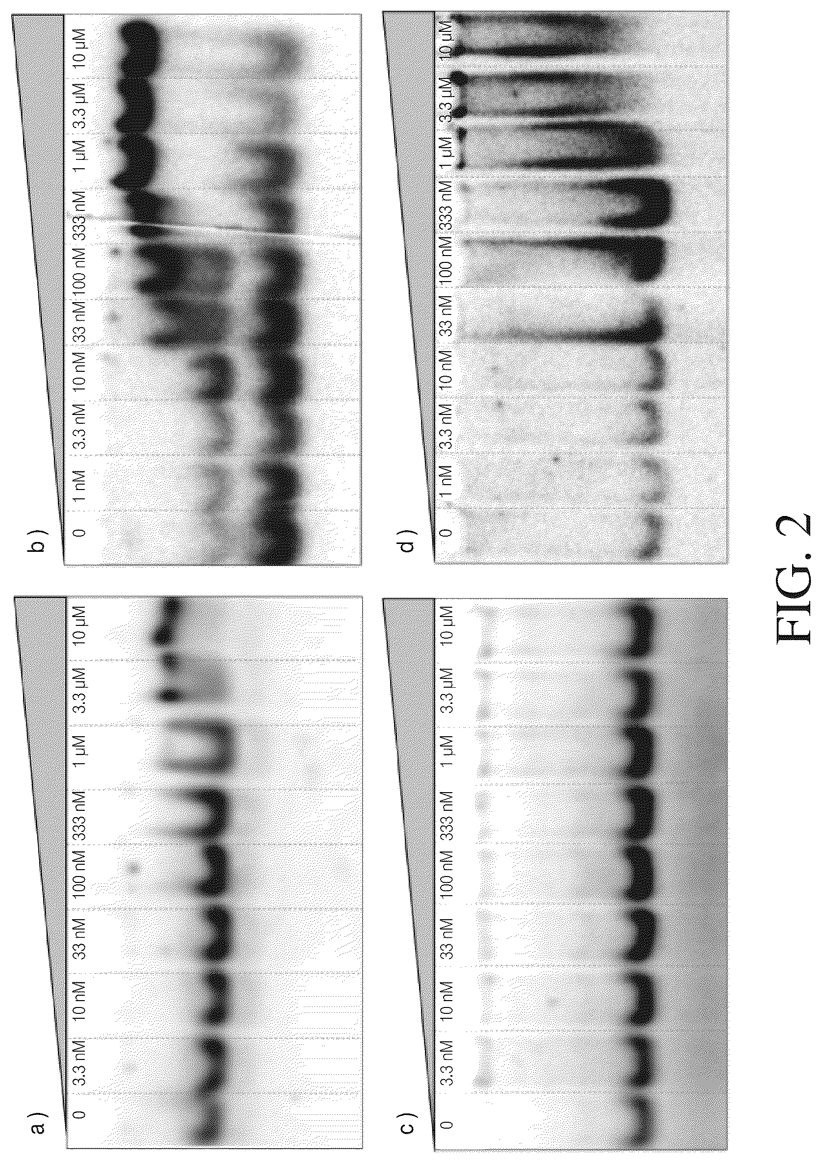 Patent US12612615 Figure 2 – Isolated nucleic acid binding domains