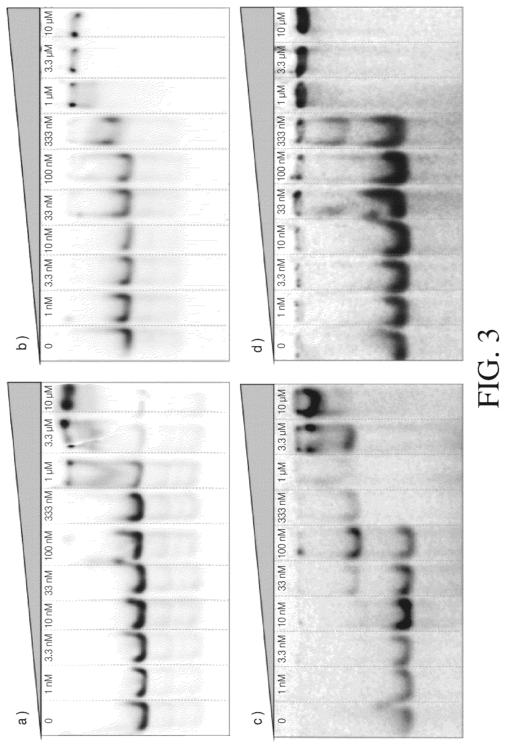 Patent US12612615 Figure 3 – Isolated nucleic acid binding domains