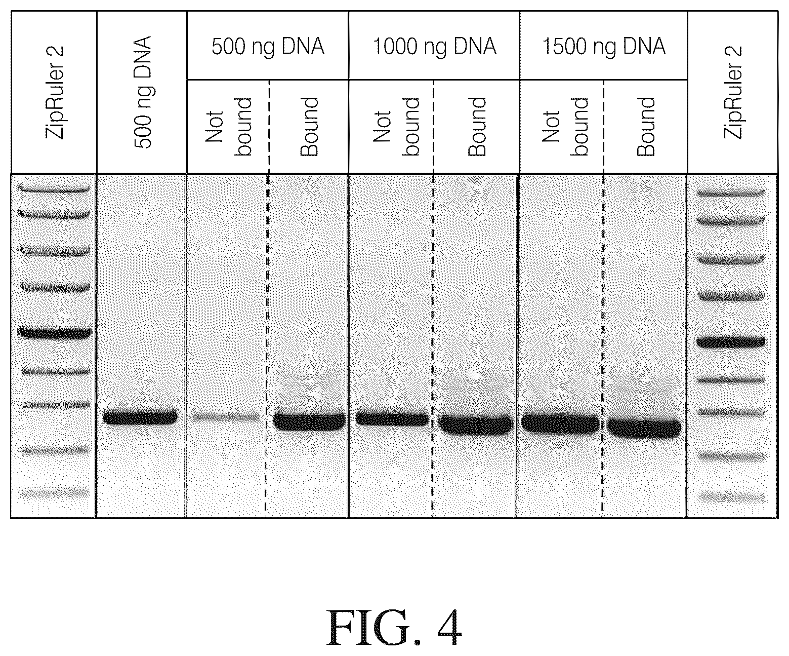 Patent US12612615 Figure 4 – Isolated nucleic acid binding domains