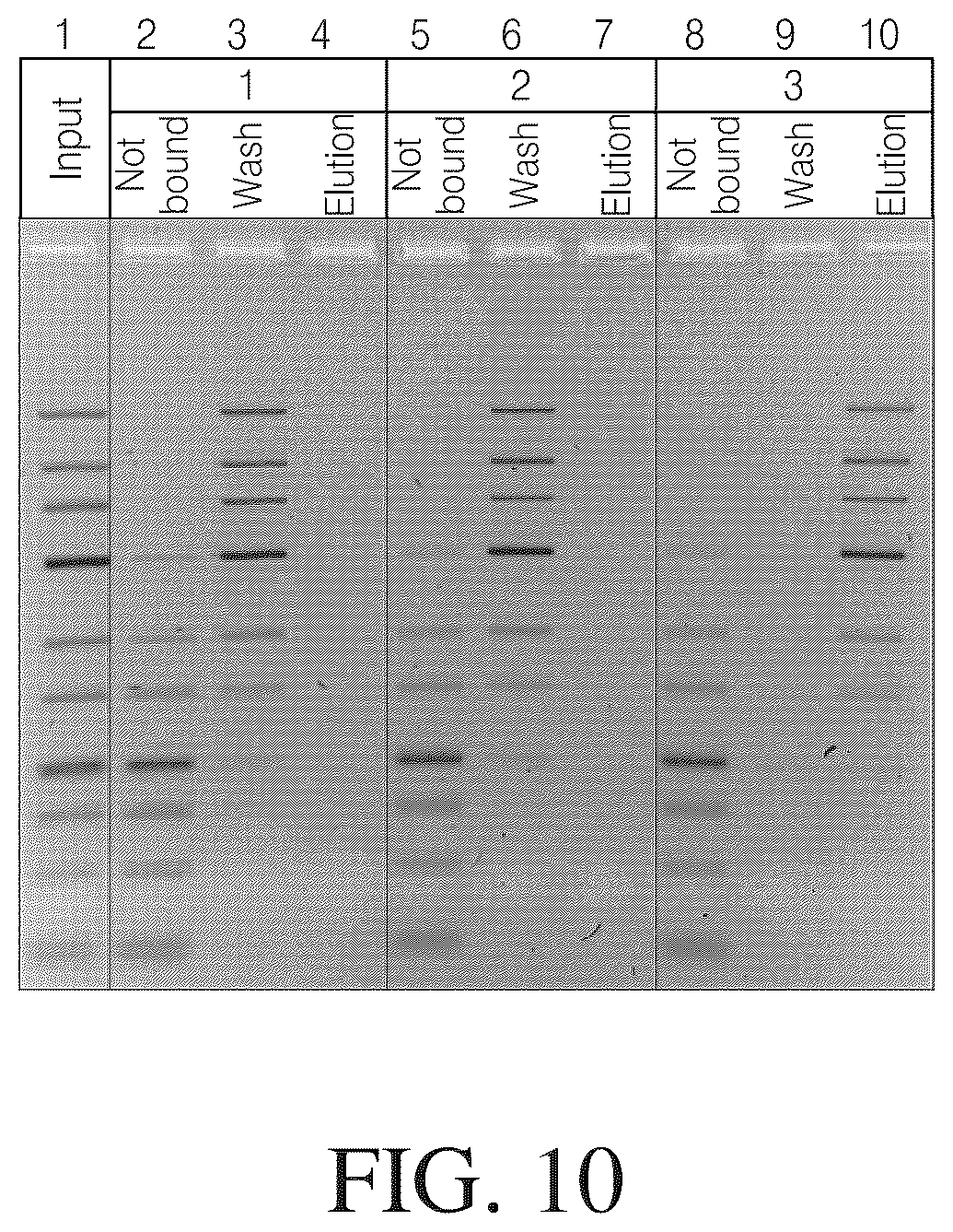 Patent US12612615 Figure 11 – Isolated nucleic acid binding domains