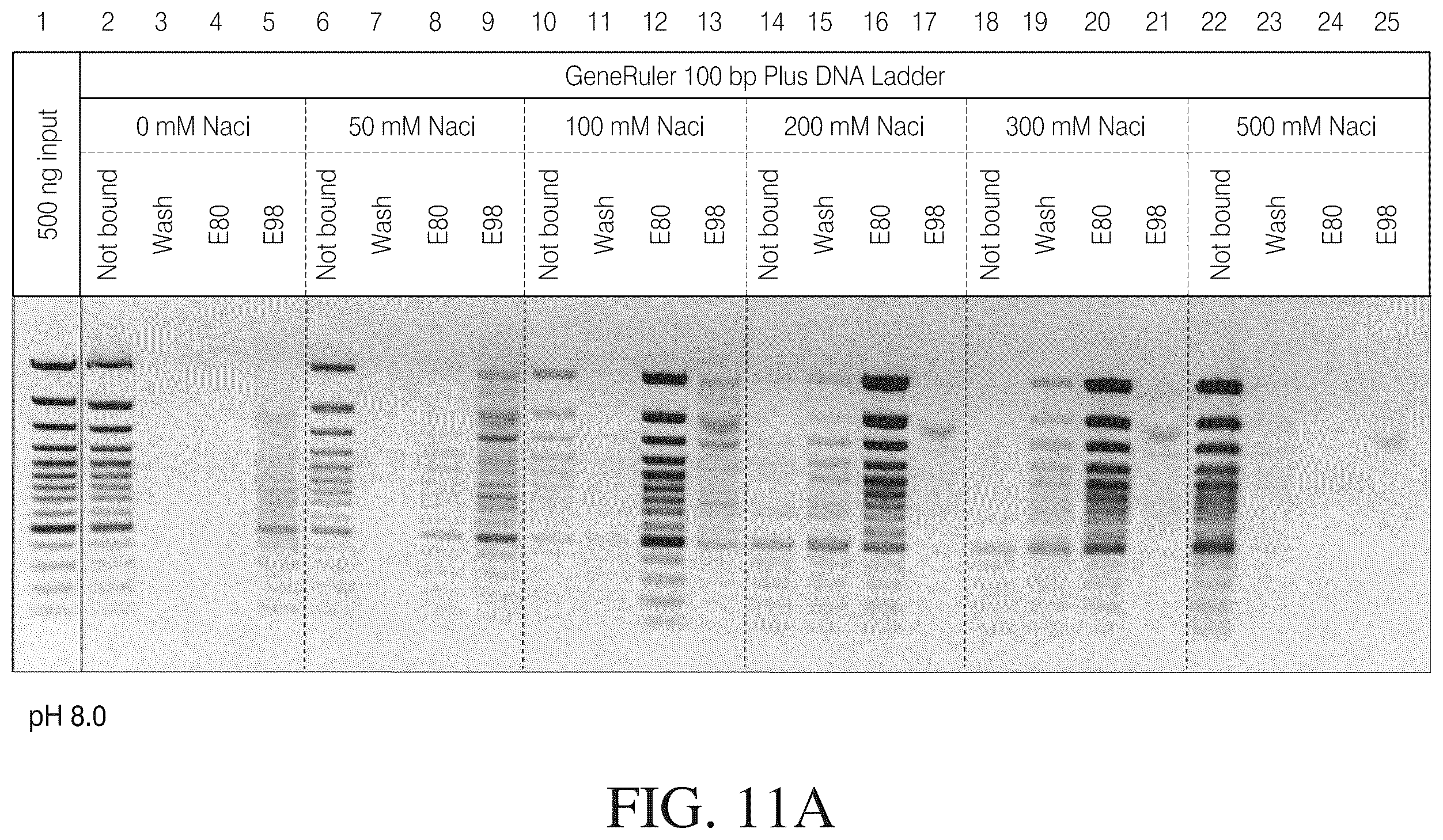 Patent US12612615 Figure 12 – Isolated nucleic acid binding domains