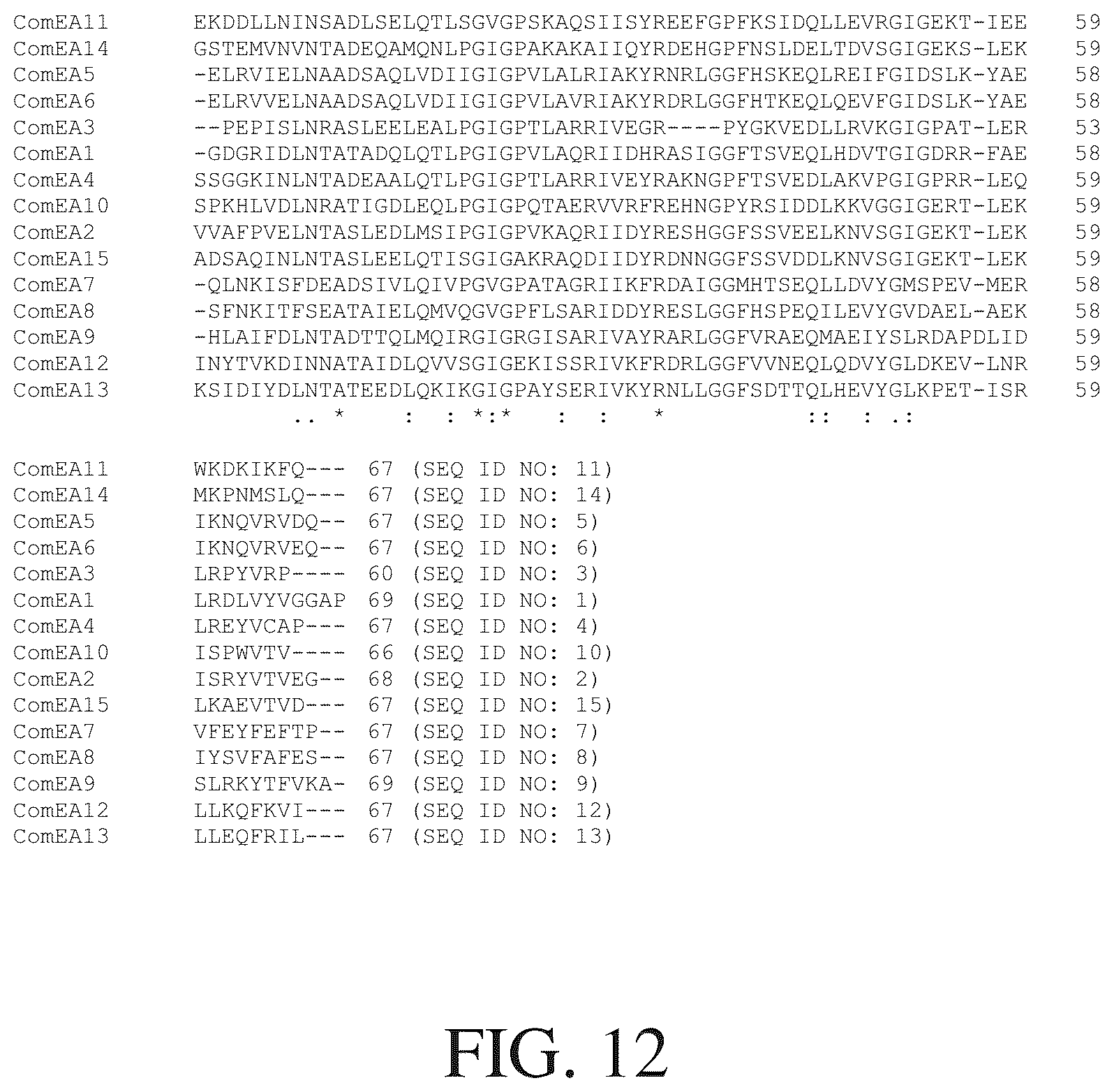 Patent US12612615 Figure 14 – Isolated nucleic acid binding domains