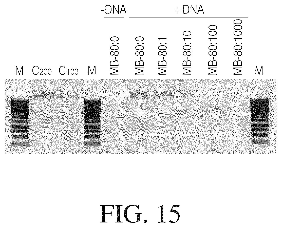 Patent US12612615 Figure 20 – Isolated nucleic acid binding domains