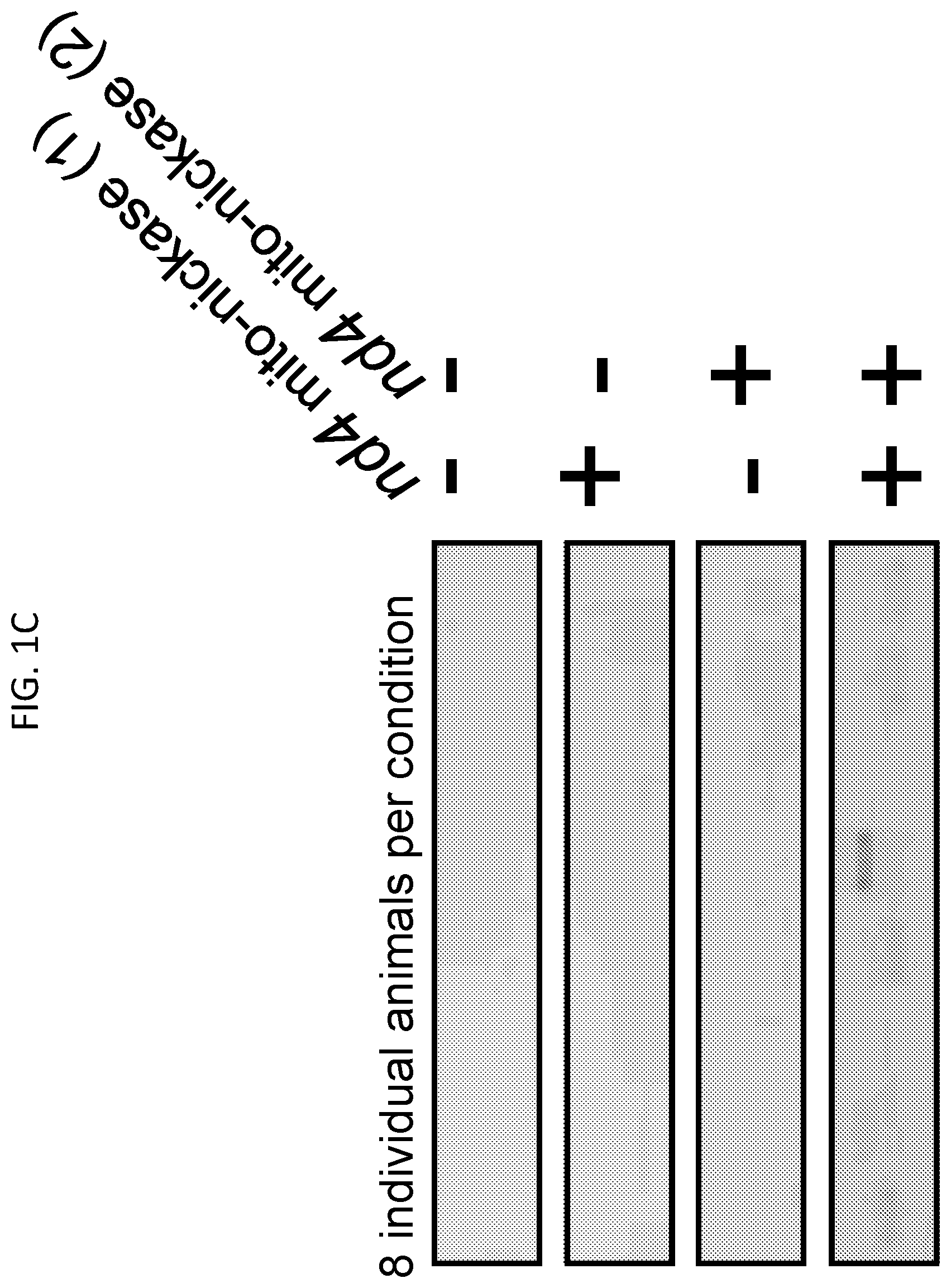 Patent US12612617 Figure 3 – Mitochondrial genome editing methods