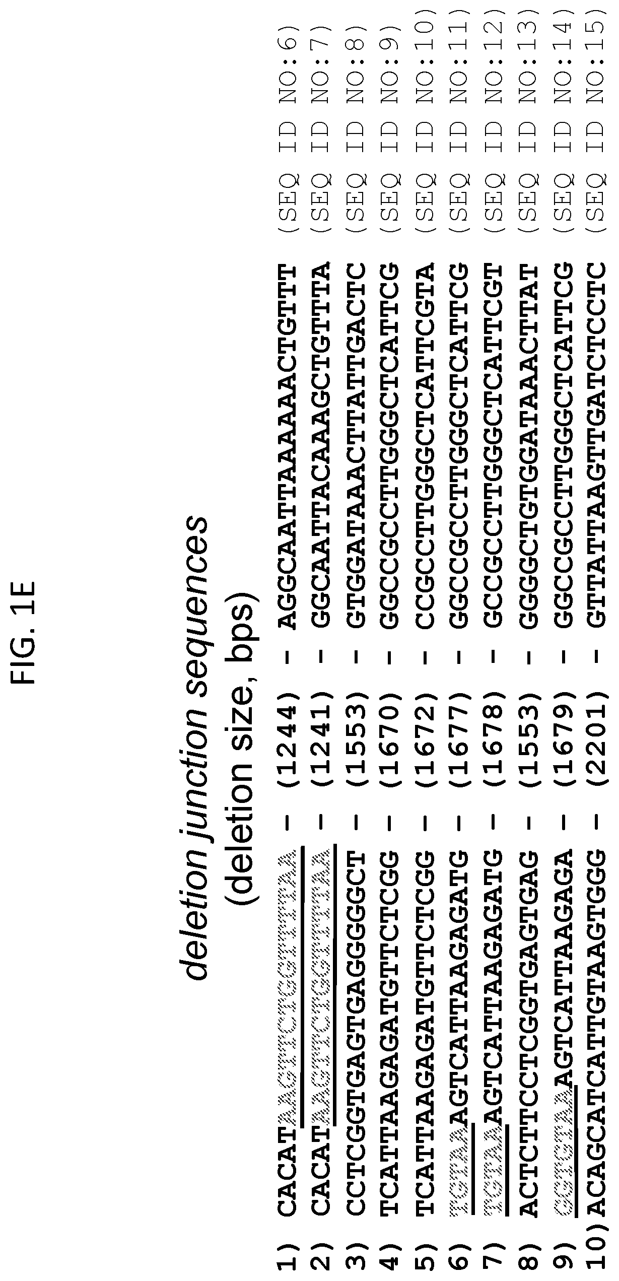Patent US12612617 Figure 5 – Mitochondrial genome editing methods