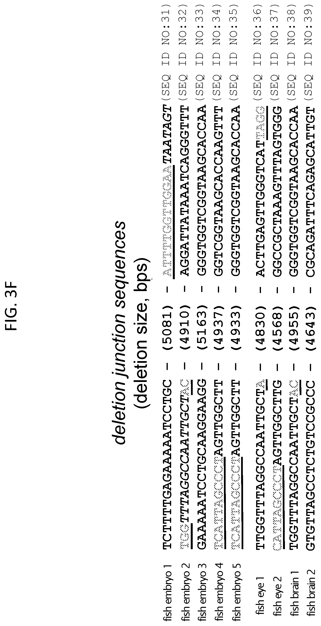 Patent US12612617 Figure 14 – Mitochondrial genome editing methods
