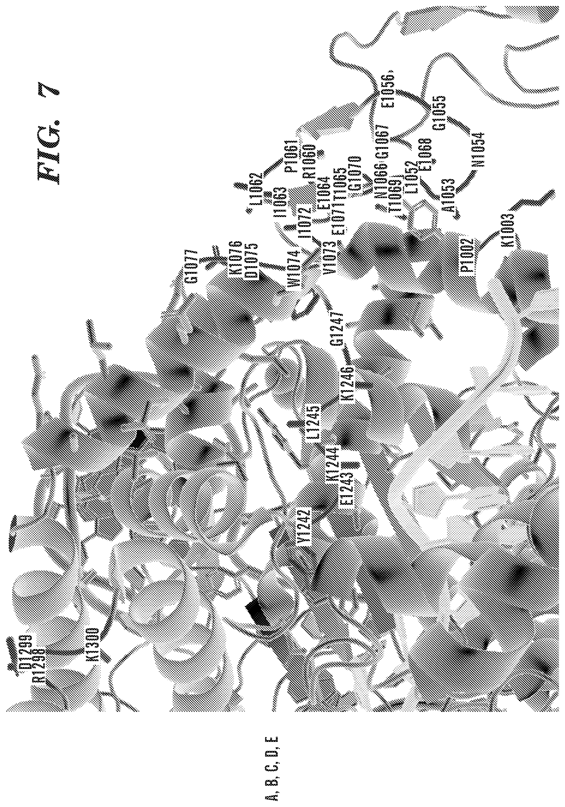 Patent US12612618 Figure 7 – Nucleobase editors having reduced non-target deamination and assays for characterizing nucleobase editors