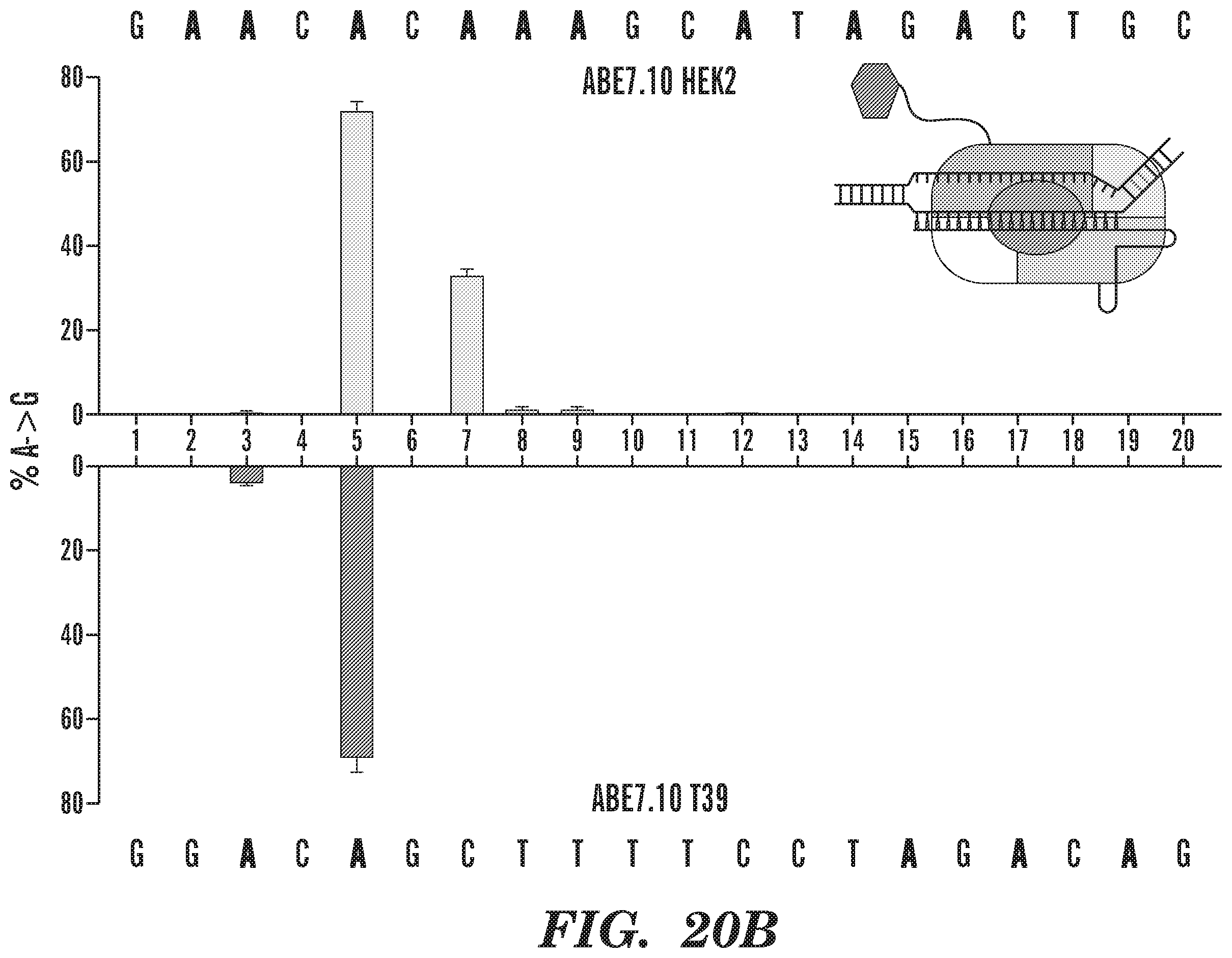 Patent US12612618 Figure 20 – Nucleobase editors having reduced non-target deamination and assays for characterizing nucleobase editors