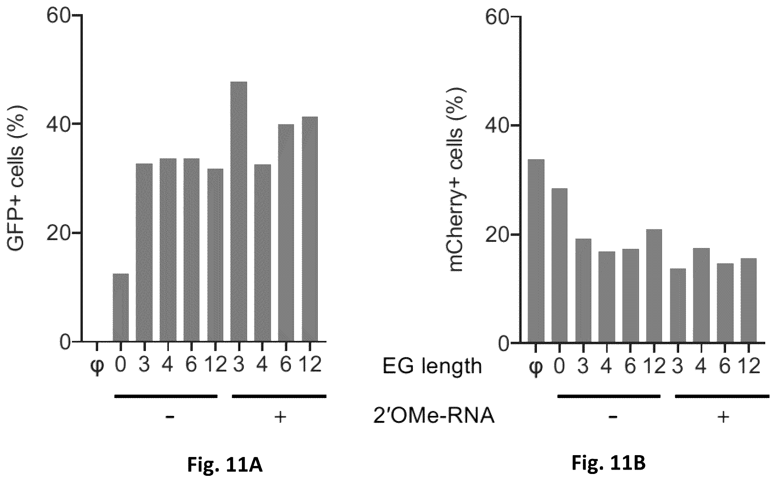 Patent US12612619 Figure 12 – Compositions and methods for improved gene editing