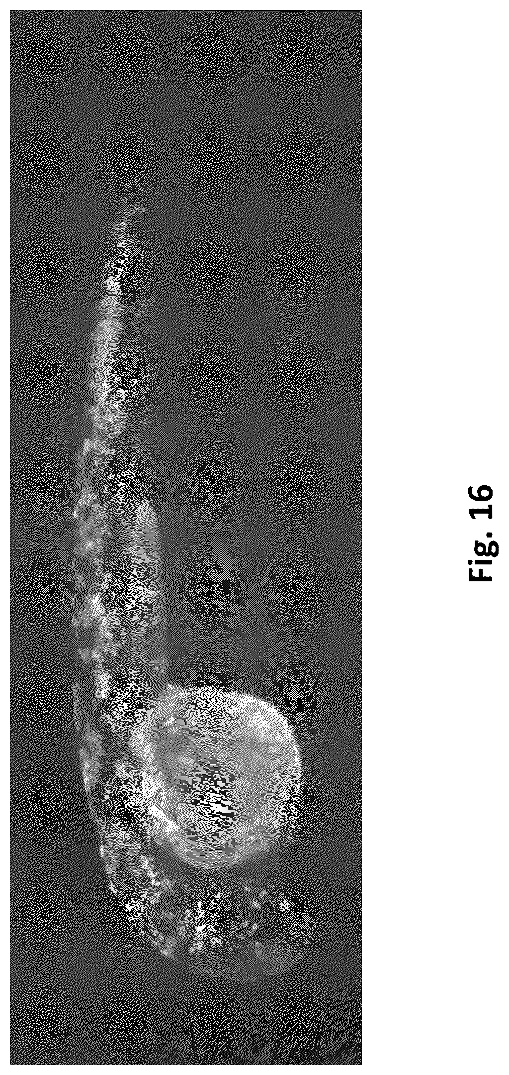 Patent US12612619 Figure 18 – Compositions and methods for improved gene editing