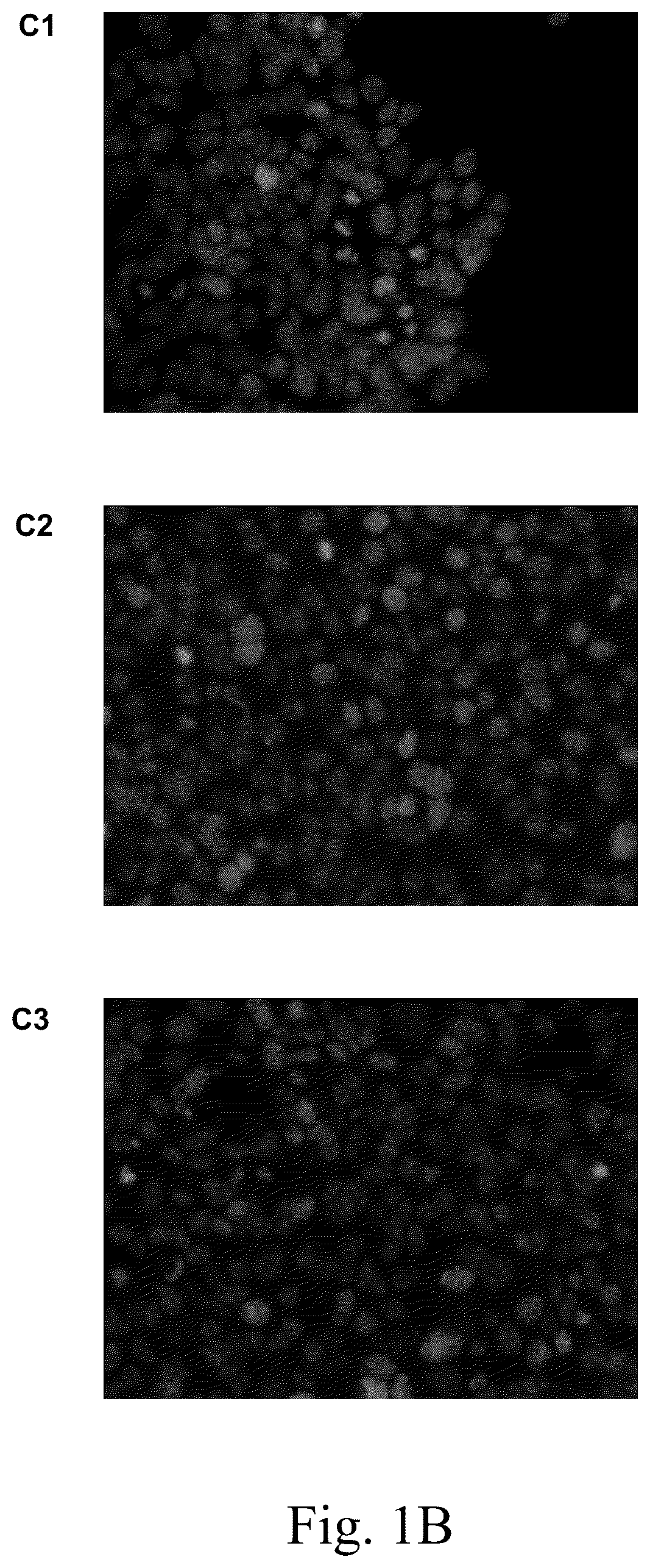 Patent US12612620 Figure 2 – Type VI CRISPR orthologs and systems