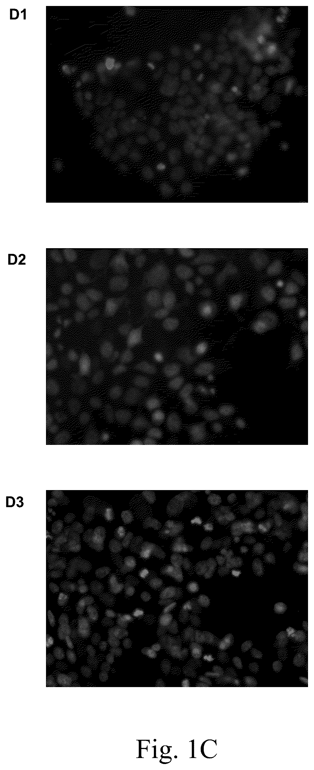 Patent US12612620 Figure 3 – Type VI CRISPR orthologs and systems