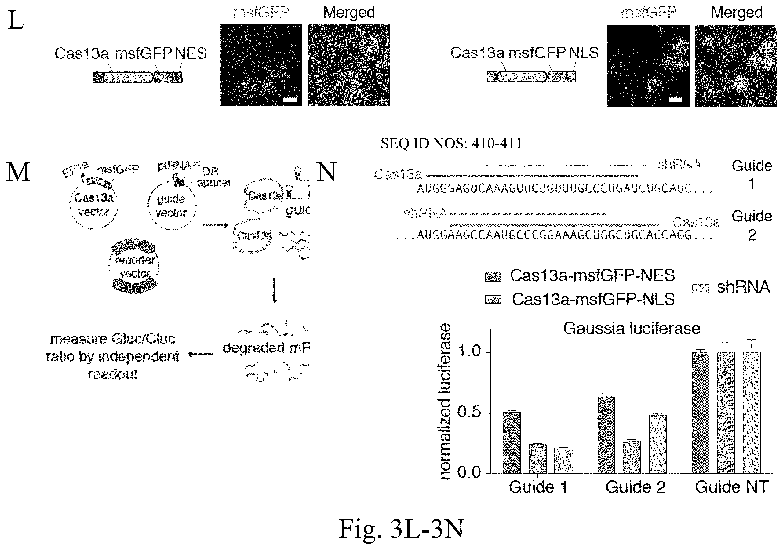 Patent US12612620 Figure 11 – Type VI CRISPR orthologs and systems