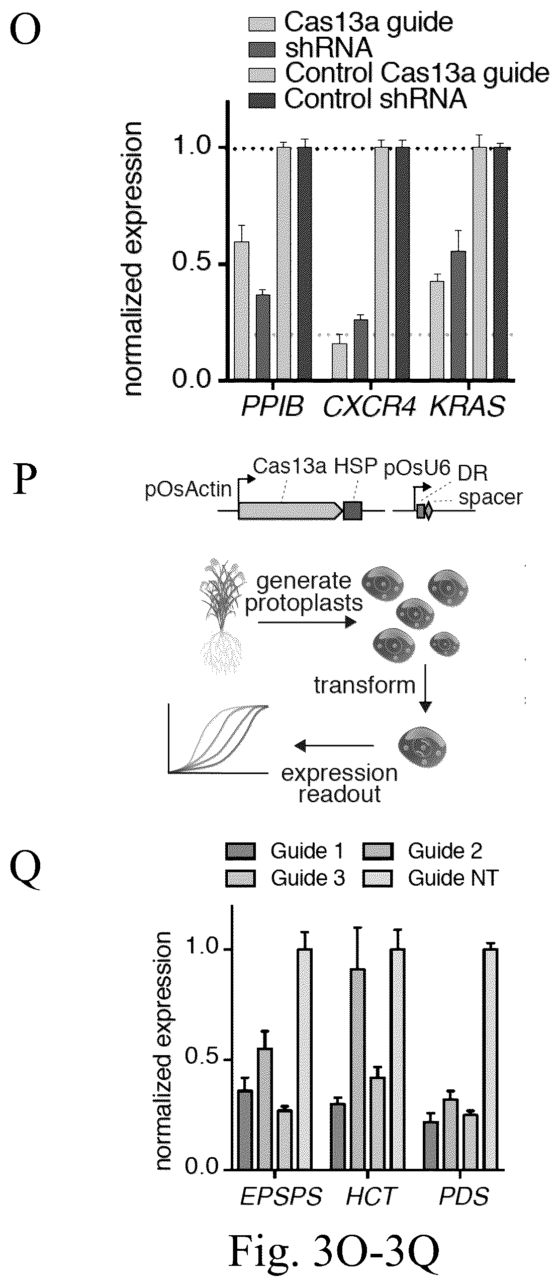 Patent US12612620 Figure 12 – Type VI CRISPR orthologs and systems
