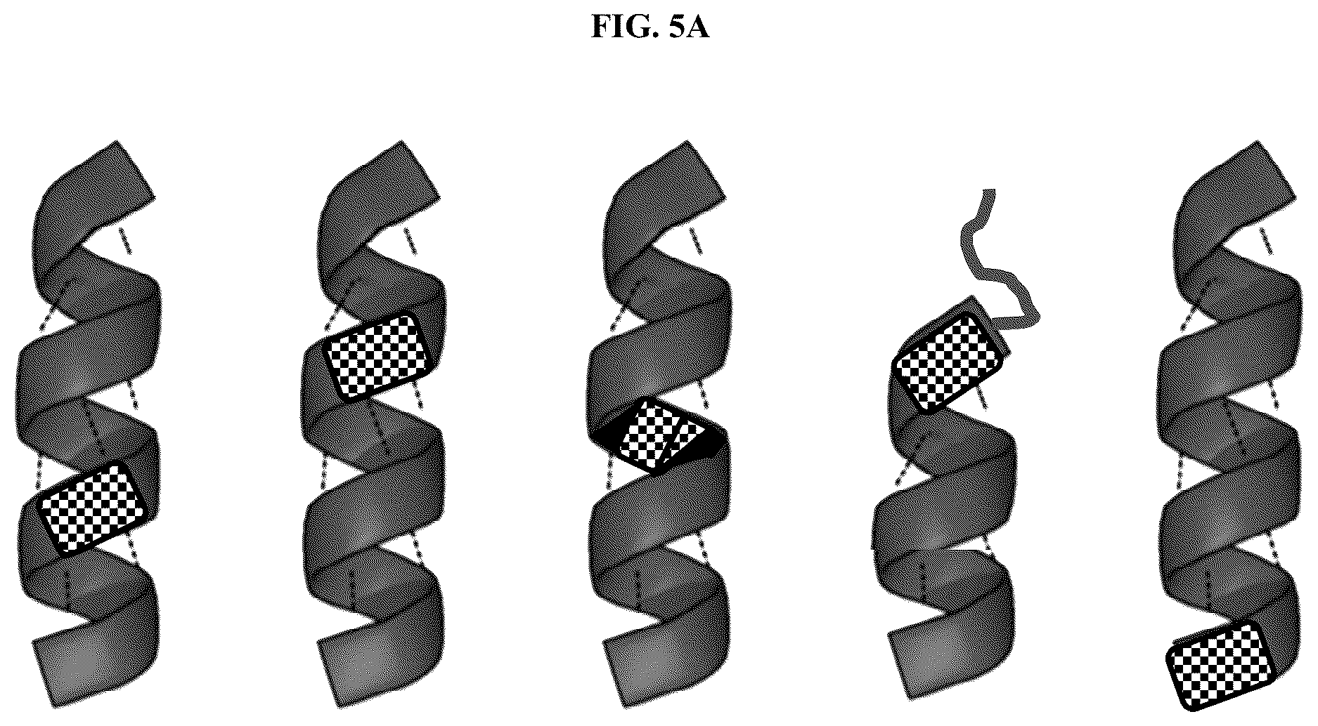 Patent US12612621 Figure 6 – Methods of selecting binding reagents