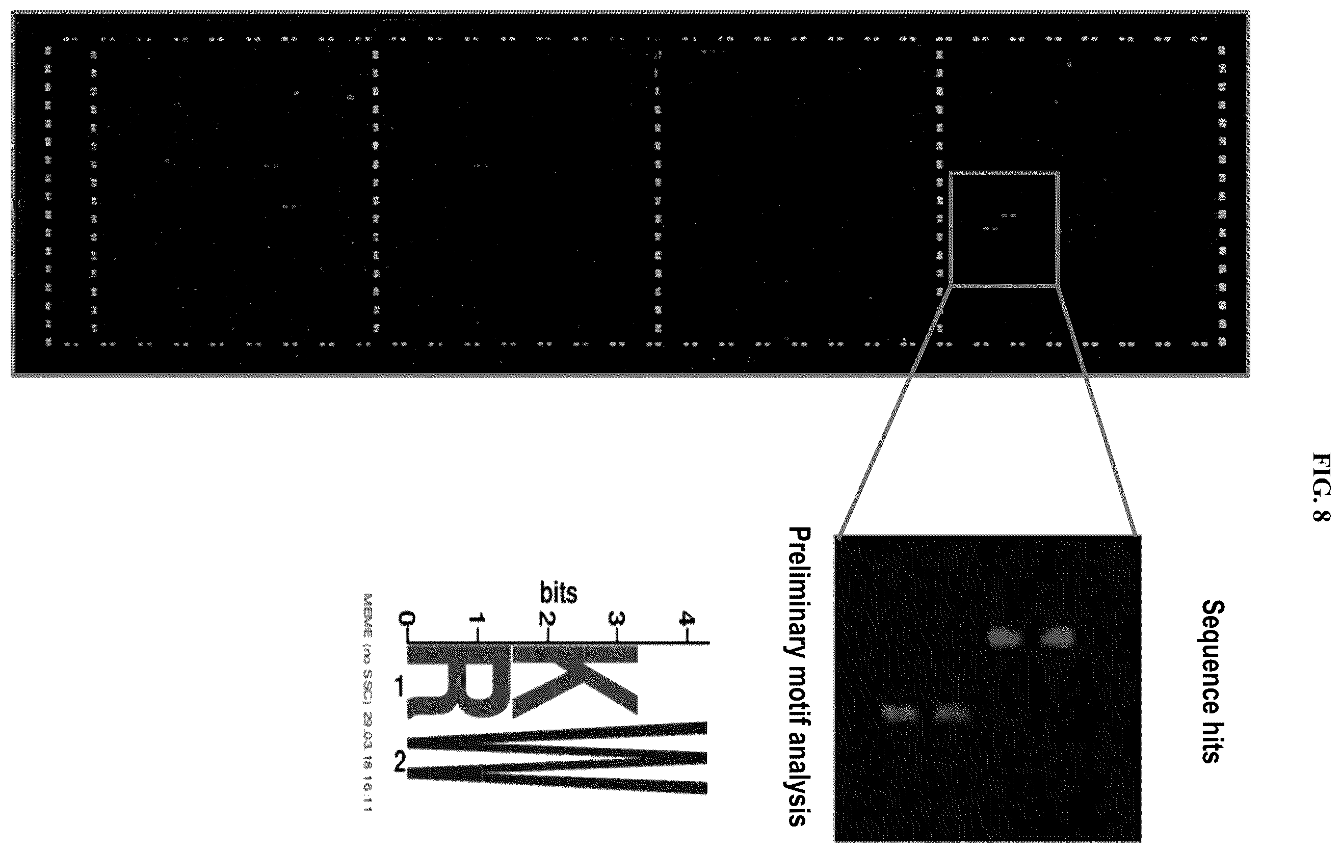 Patent US12612621 Figure 10 – Methods of selecting binding reagents