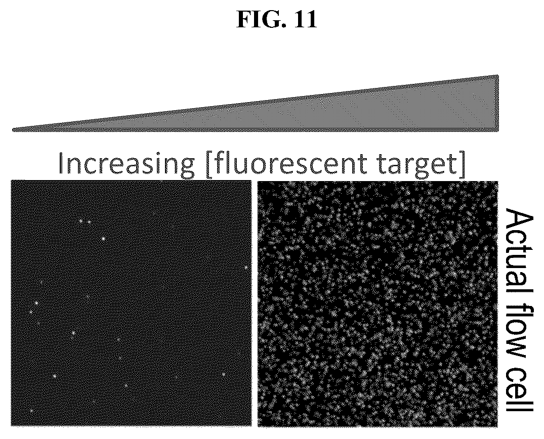 Patent US12612621 Figure 13 – Methods of selecting binding reagents