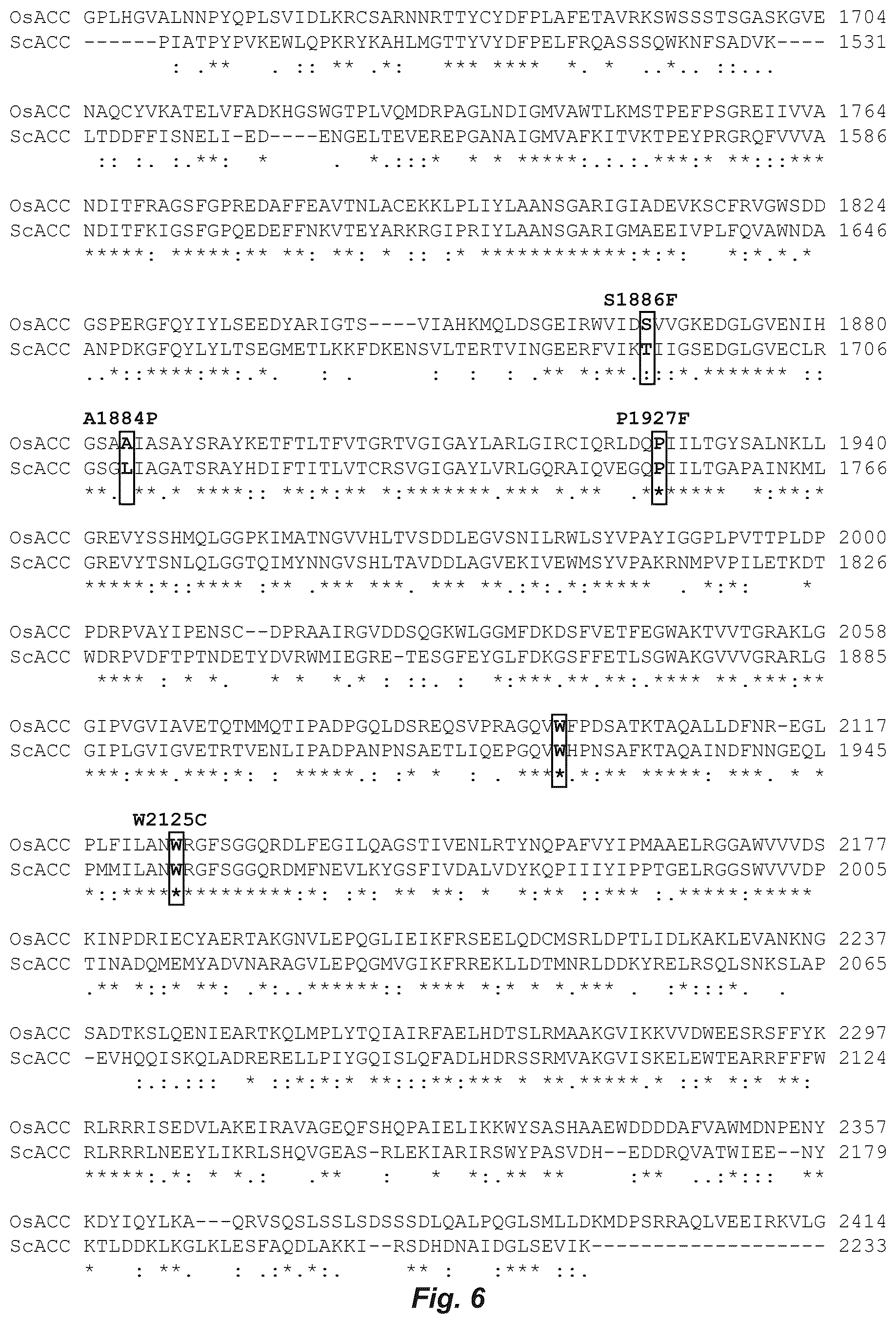 Patent US12612622 Figure 9 – Targeted mutagenesis using base editors