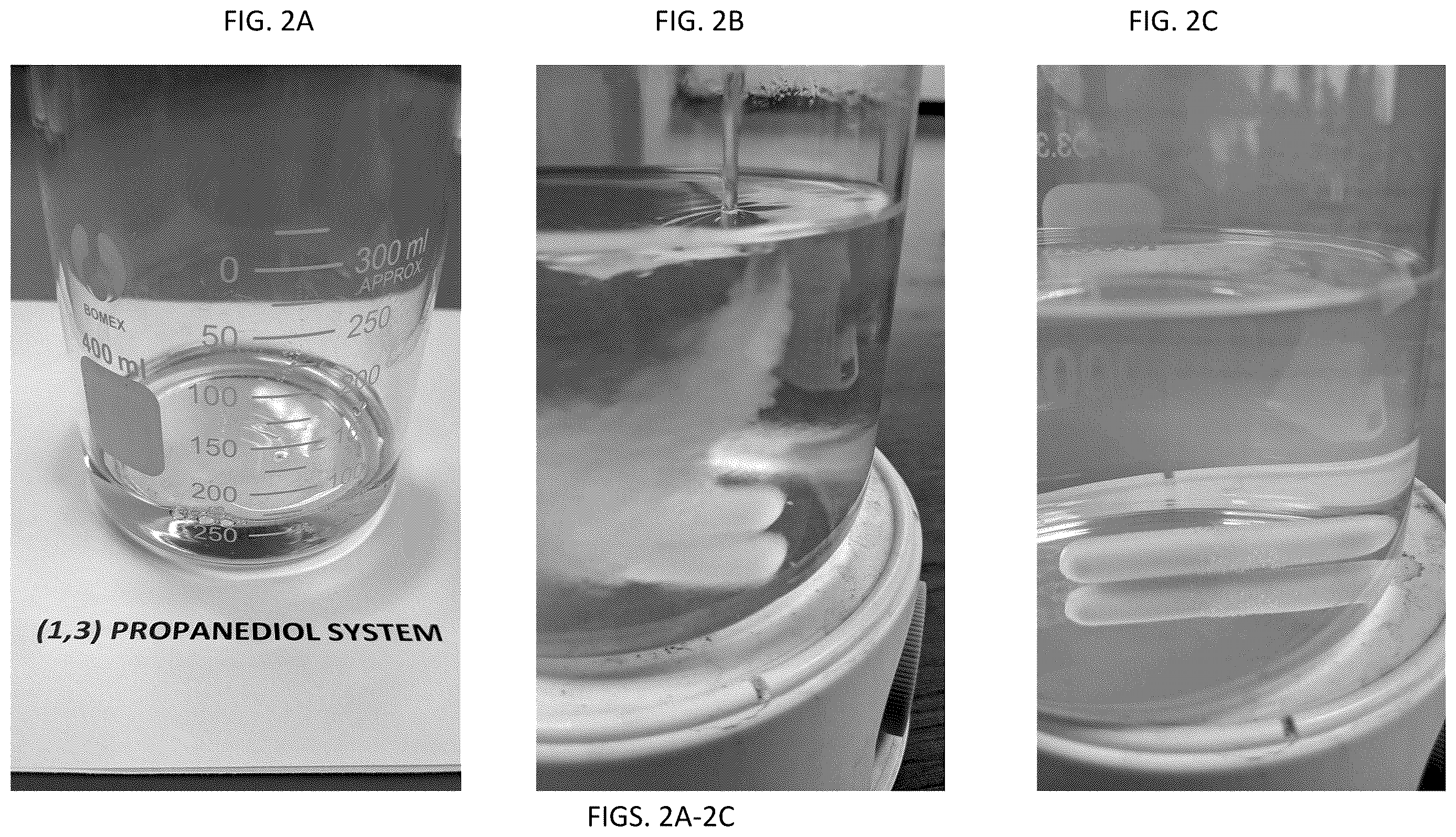 Patent US12612623 Figure 2 – Water-soluble prolamin, preparation thereof, and uses thereof for food-grade application including prolamin compositions combining prolamin and DNA taggants