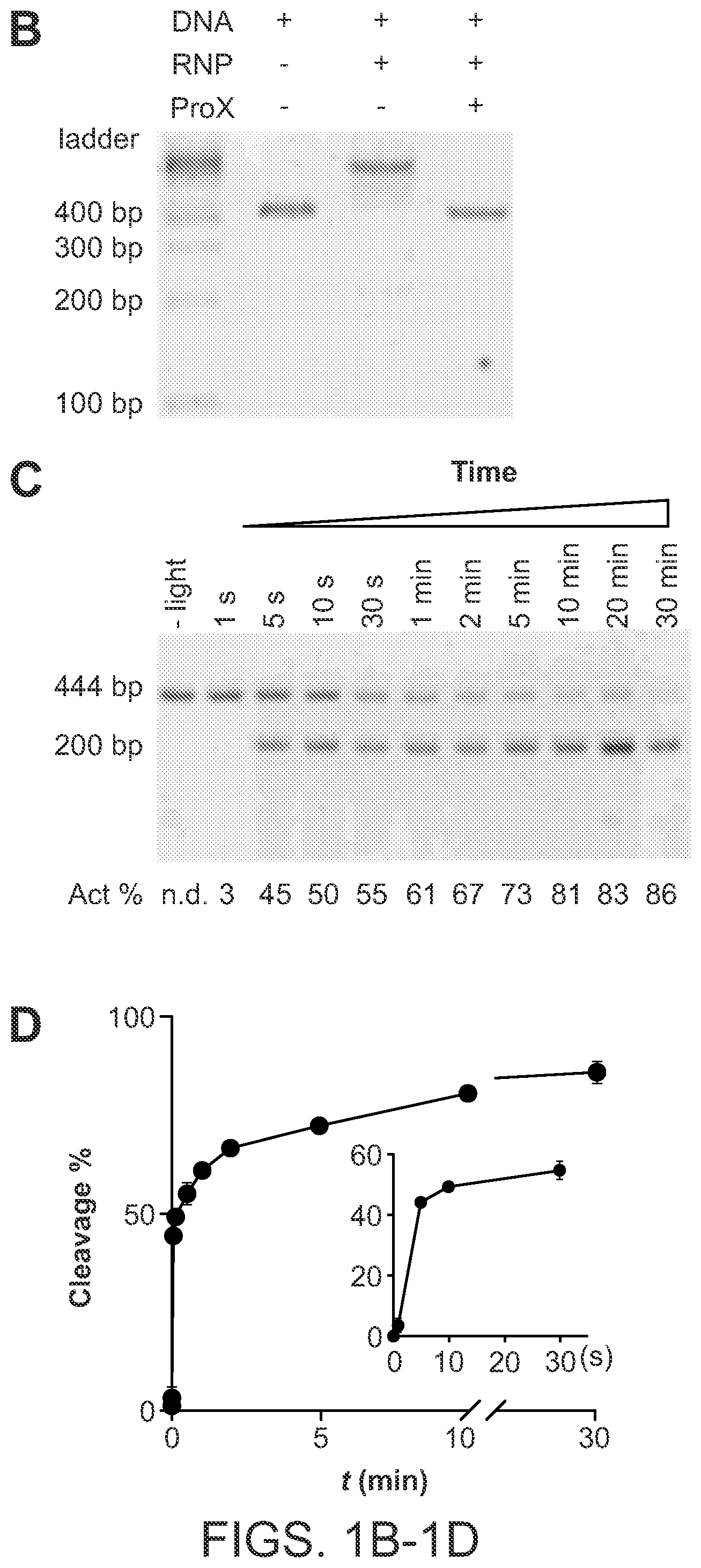 Patent US12612624 Figure 2 – Light-inducible CRISPR/Cas9 system for genome editing