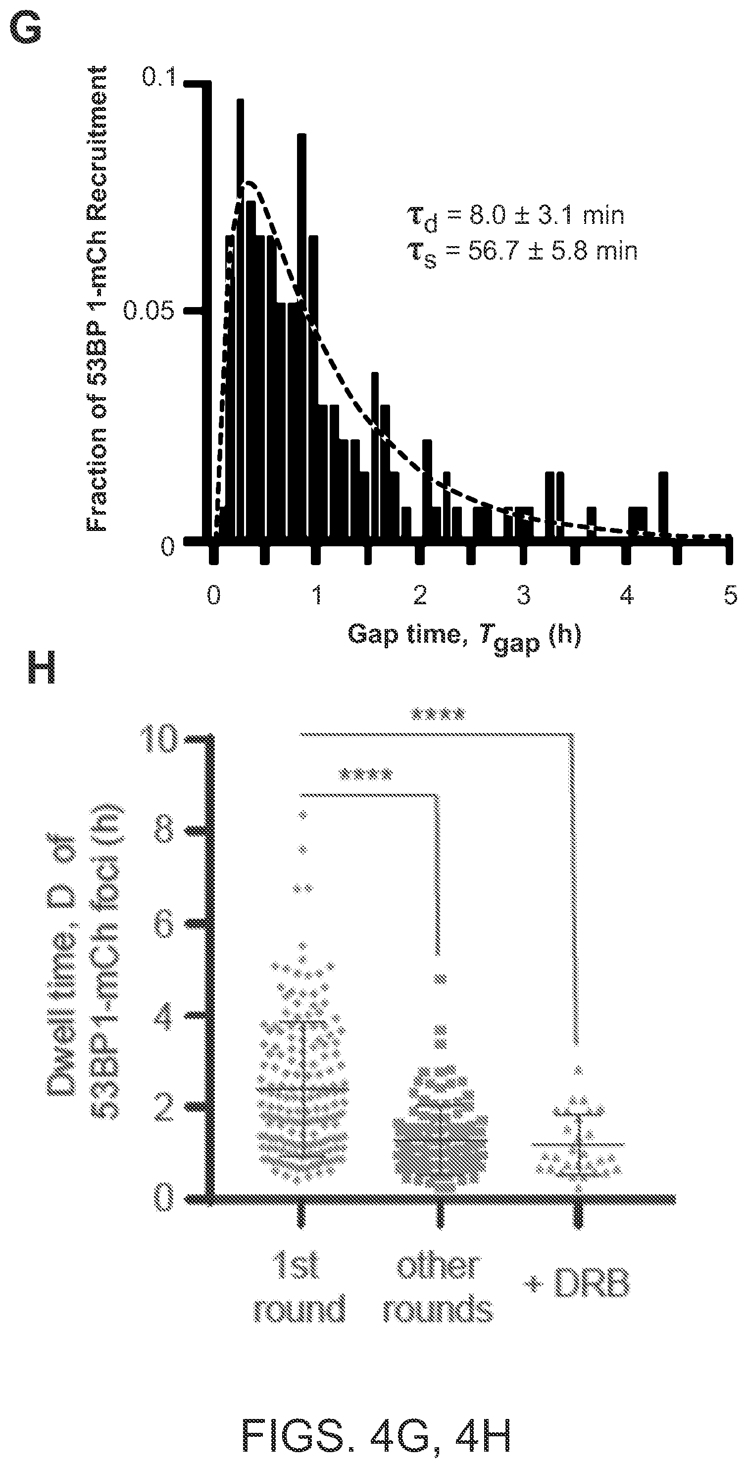 Patent US12612624 Figure 12 – Light-inducible CRISPR/Cas9 system for genome editing